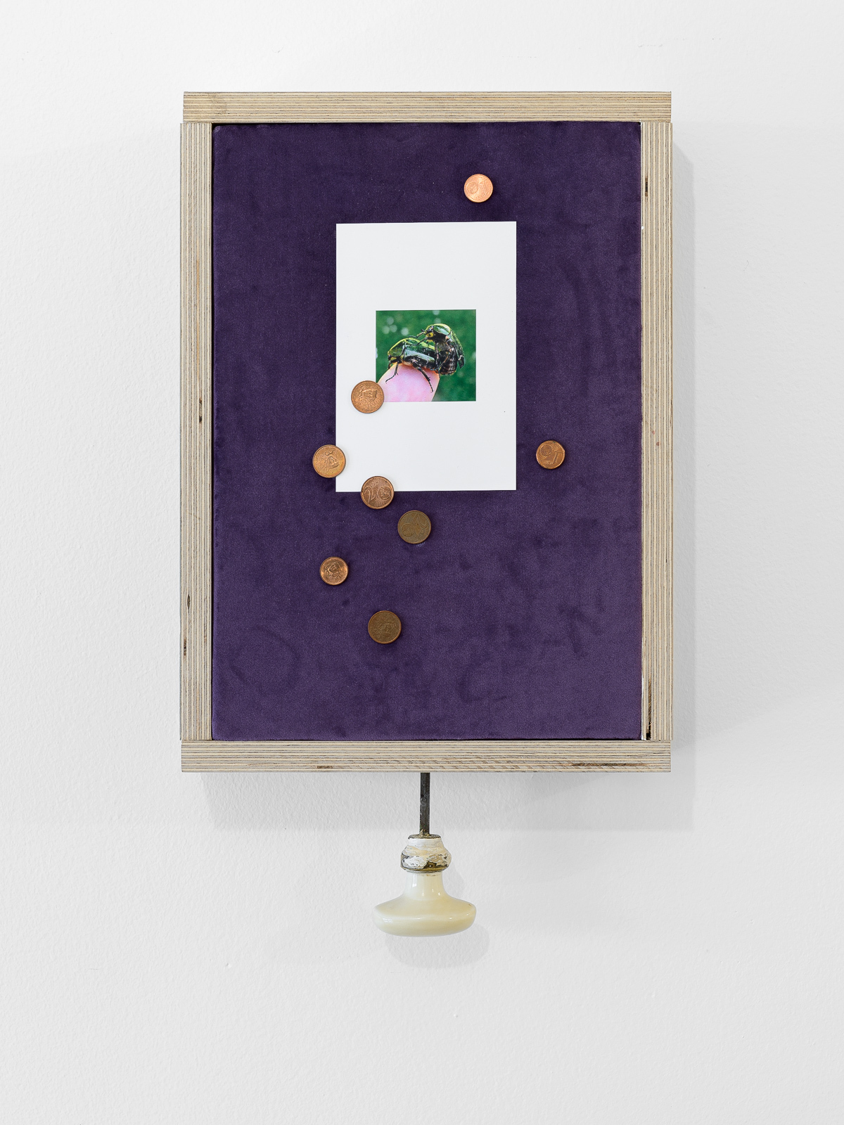 1 chance sur 1000 Wood, velvet, inkjet print, coins, doorknob. 48x28x11cm 2022