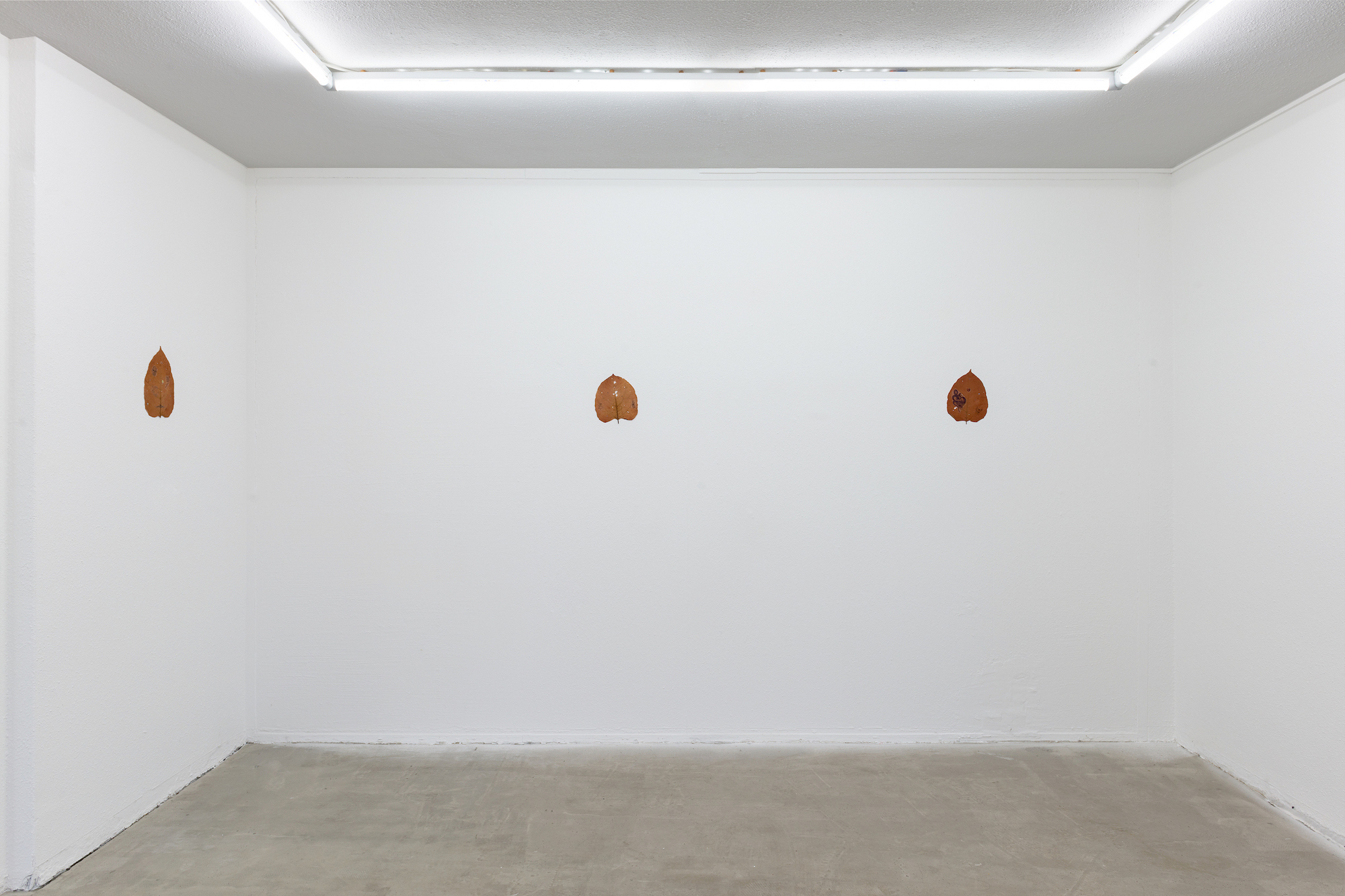 Installation view of «Stop thinking about forever» at Hamlet