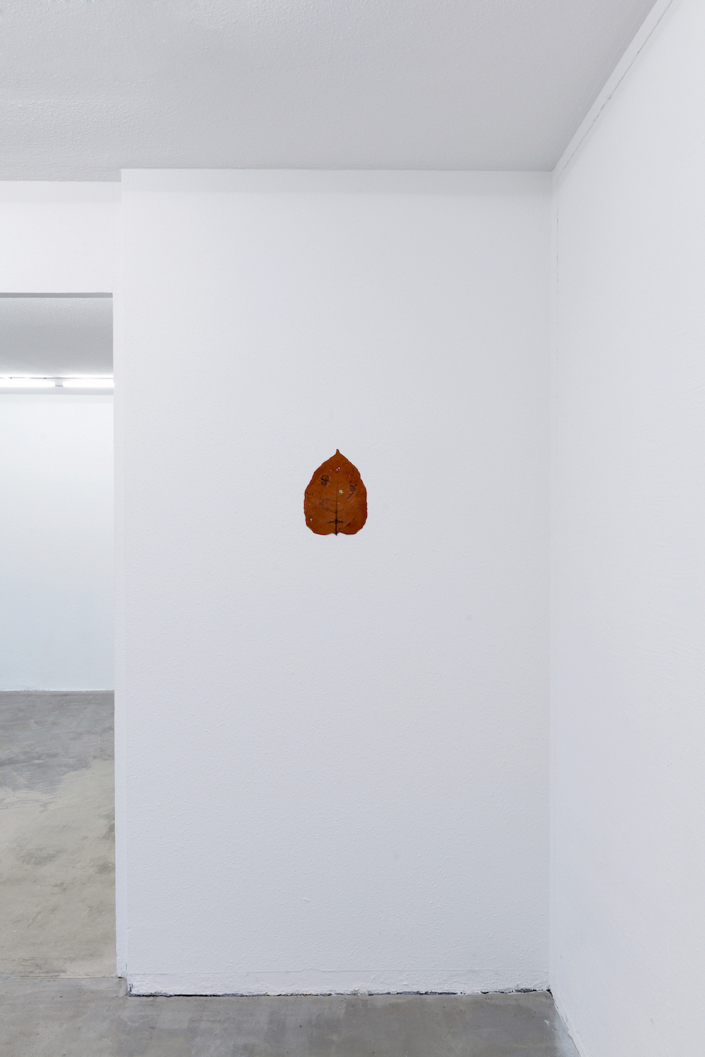 Installation view of «Stop thinking about forever» at Hamlet