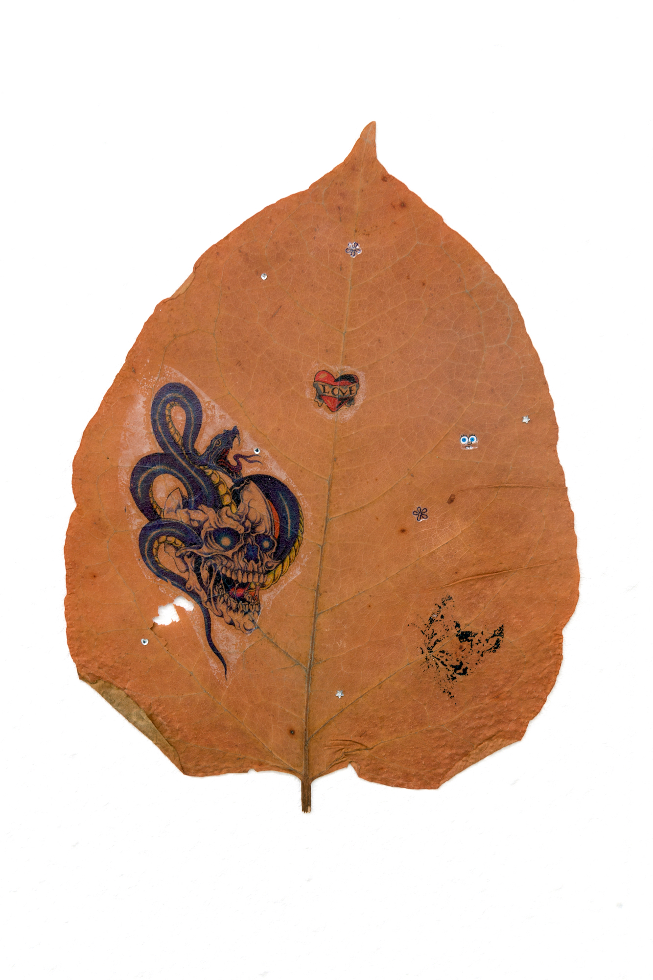 Johanna Blank, Leaves, 2019