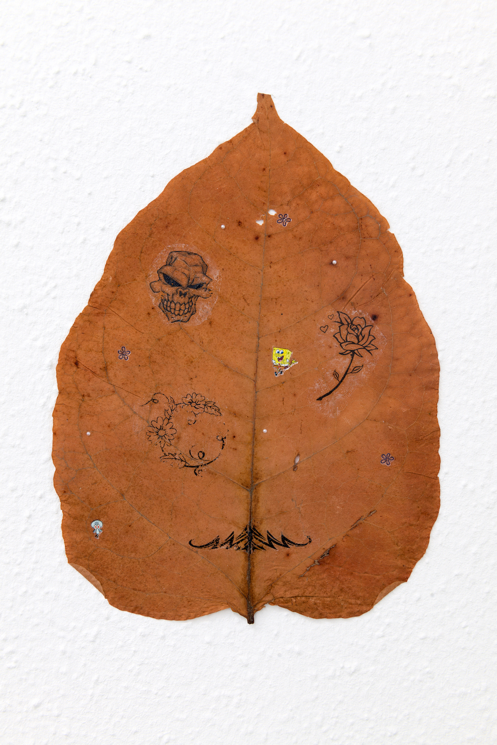 Johanna Blank, Leaves, 2019