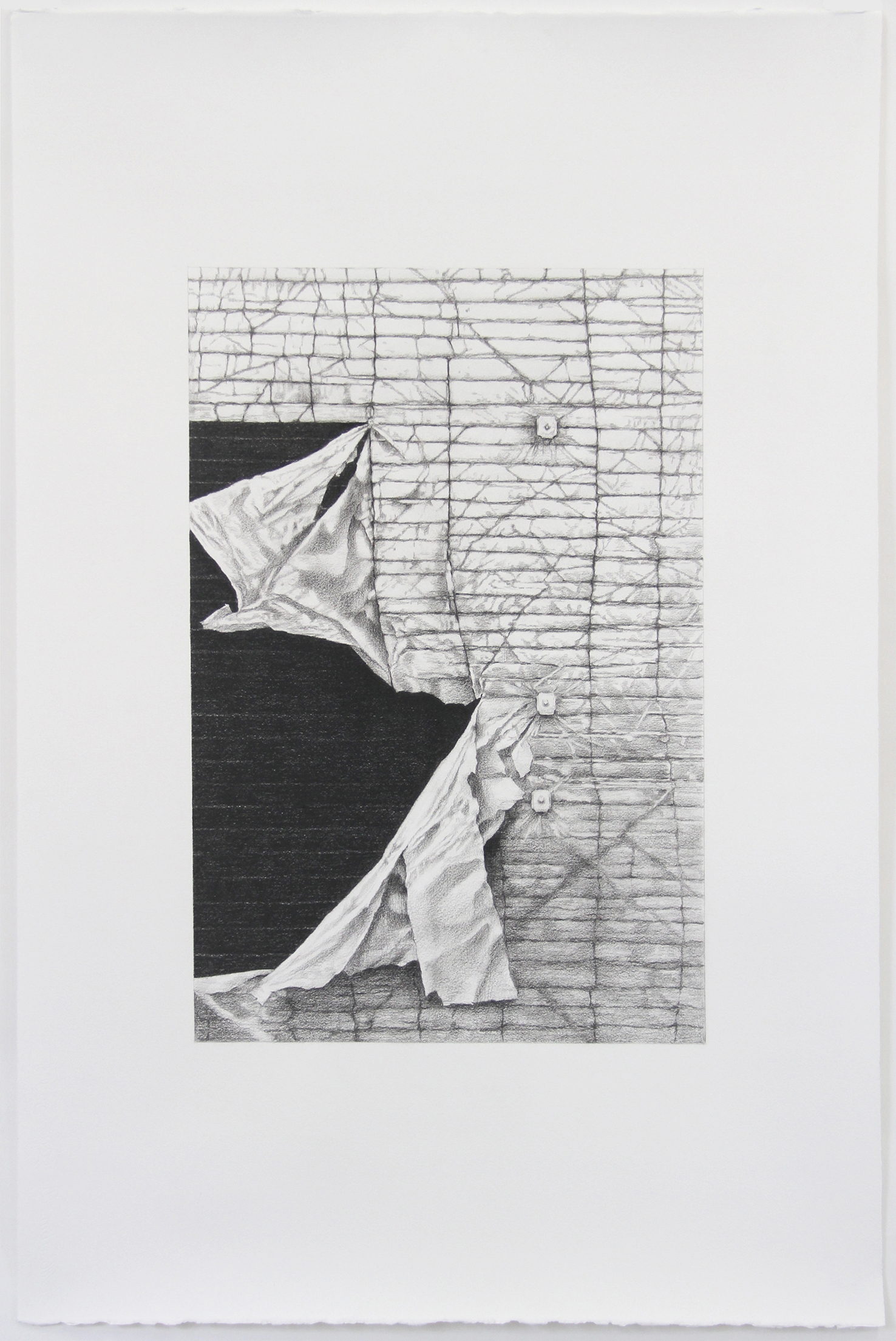 Andrew Browne, #5 (Study for Torn), 72.5 x 48 cm image size, 120 x 80 cm paper size, pencil on paper