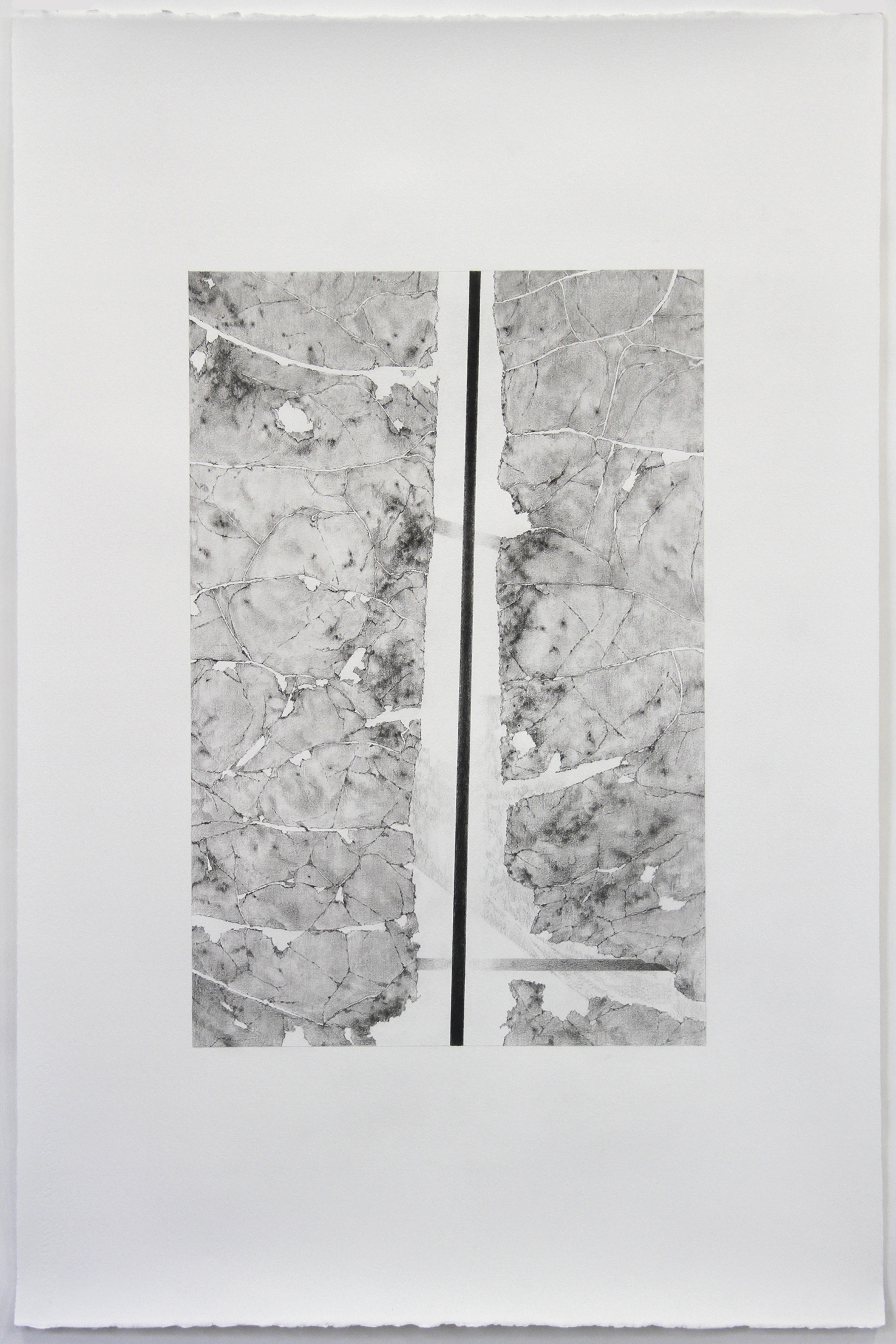 Andrew Browne, #8 (Study after Craquelure), 72.5 x 48 cm image size, 120 x 80 cm paper size, pencil on paper