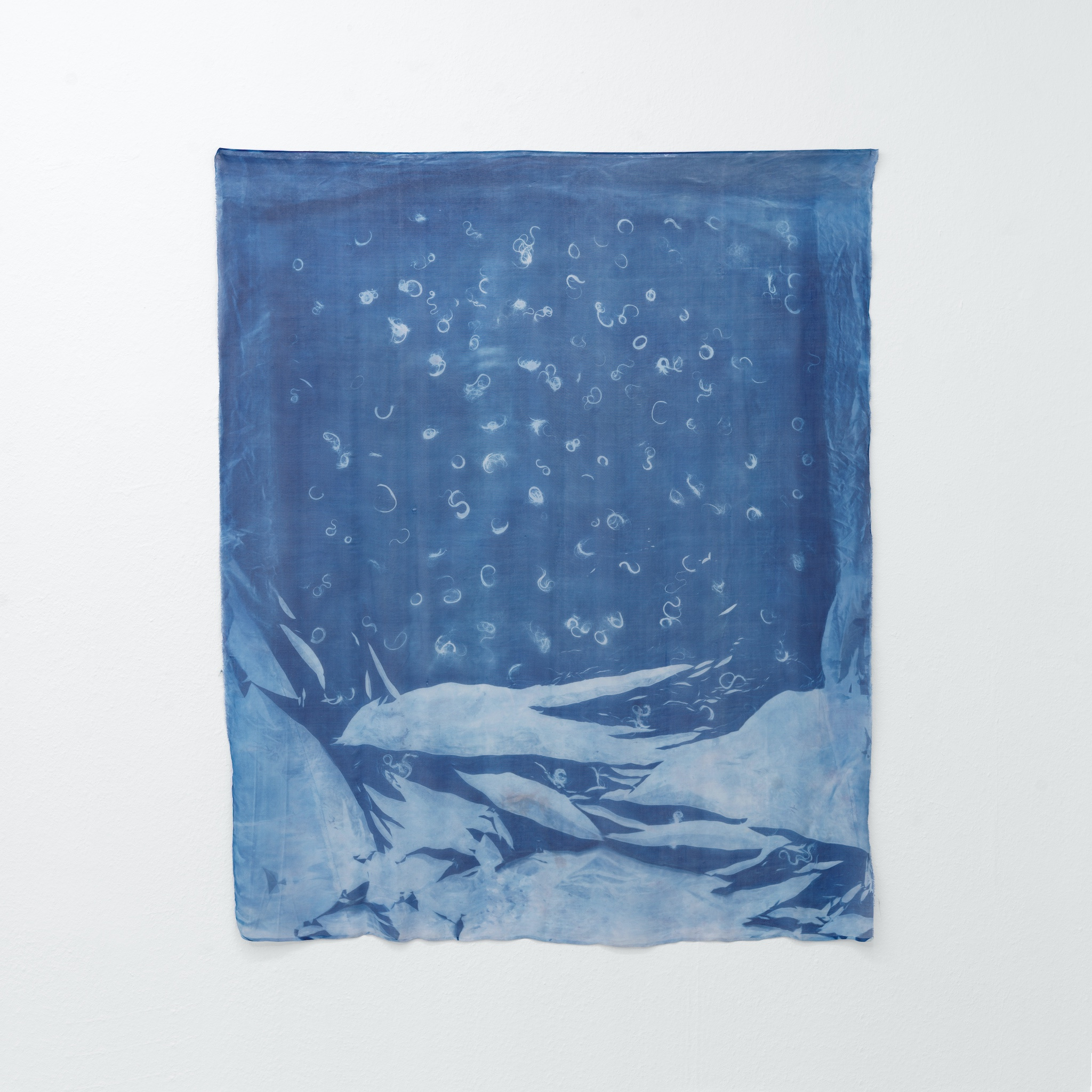 Dyveke Bredsdorff, âShoreâ, 2023. Cyanotype on chiffon silk, 20 hours overnight exposure, 122.0 x 141.5 cm