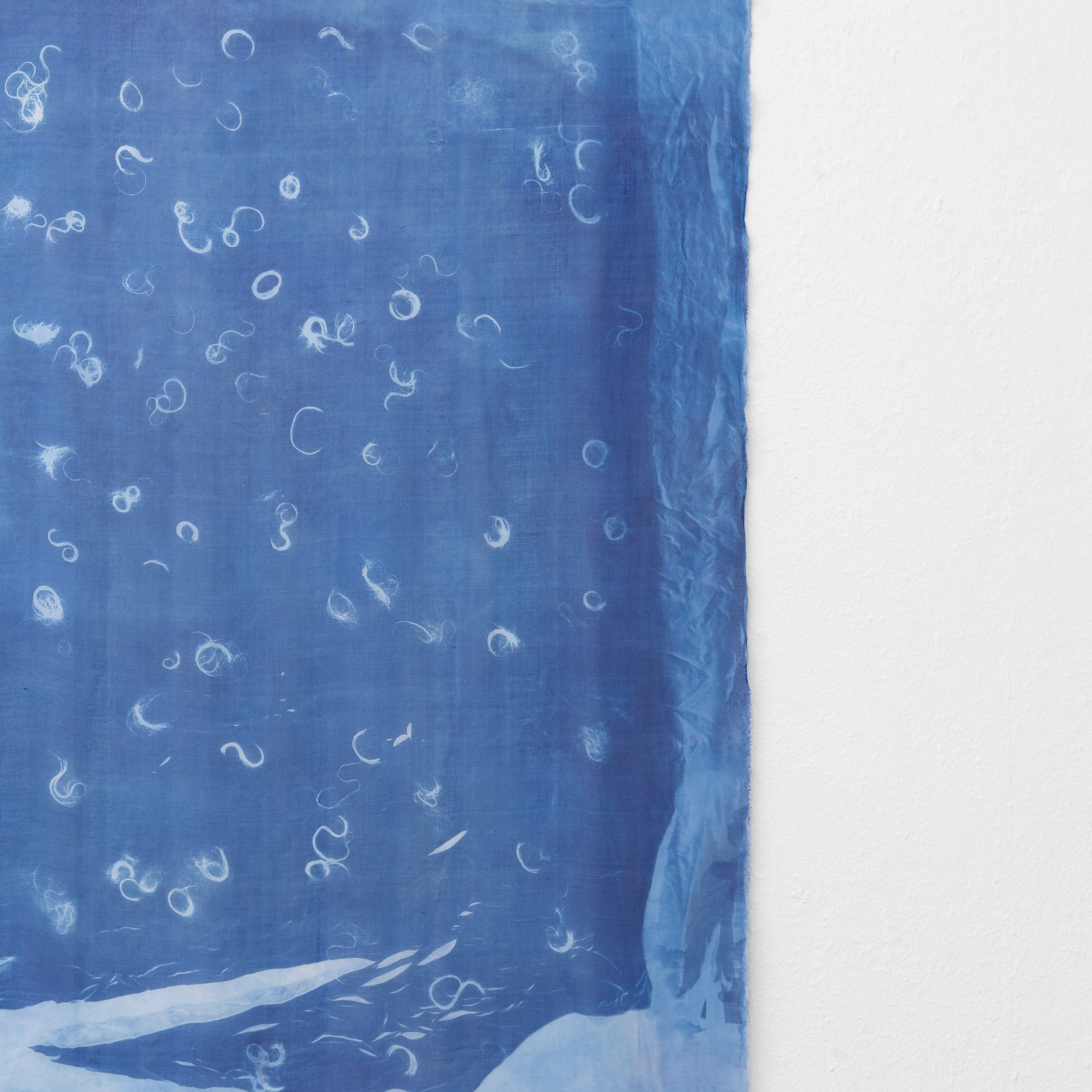 Dyveke Bredsdorff, âShoreâ, 2023. Cyanotype on chiffon silk, 20 hours overnight exposure, 122.0 x 141.5 cm