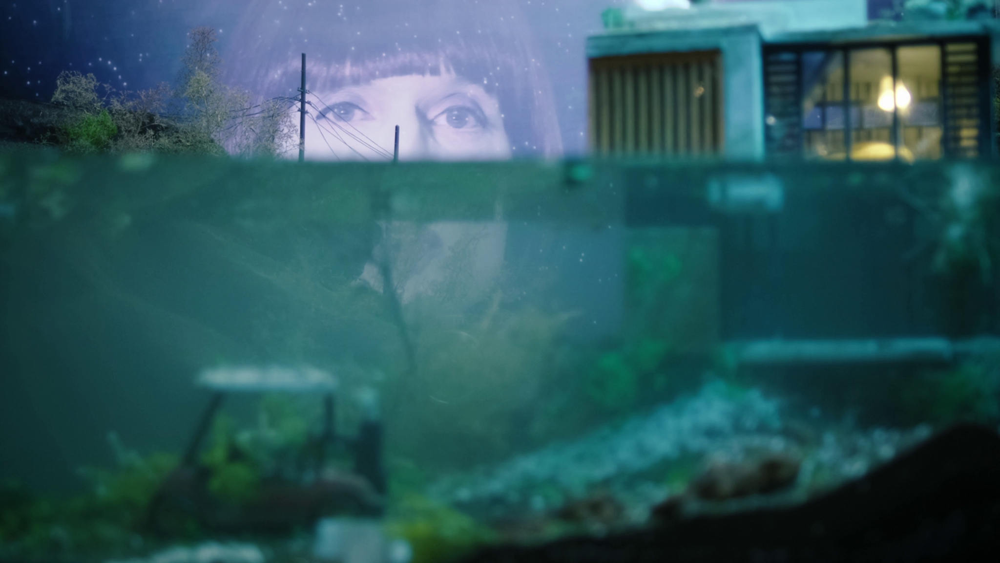 Chris Korda: Overshoot, 2020, music video, 4'40" (still image) (with Bos & Lanting)