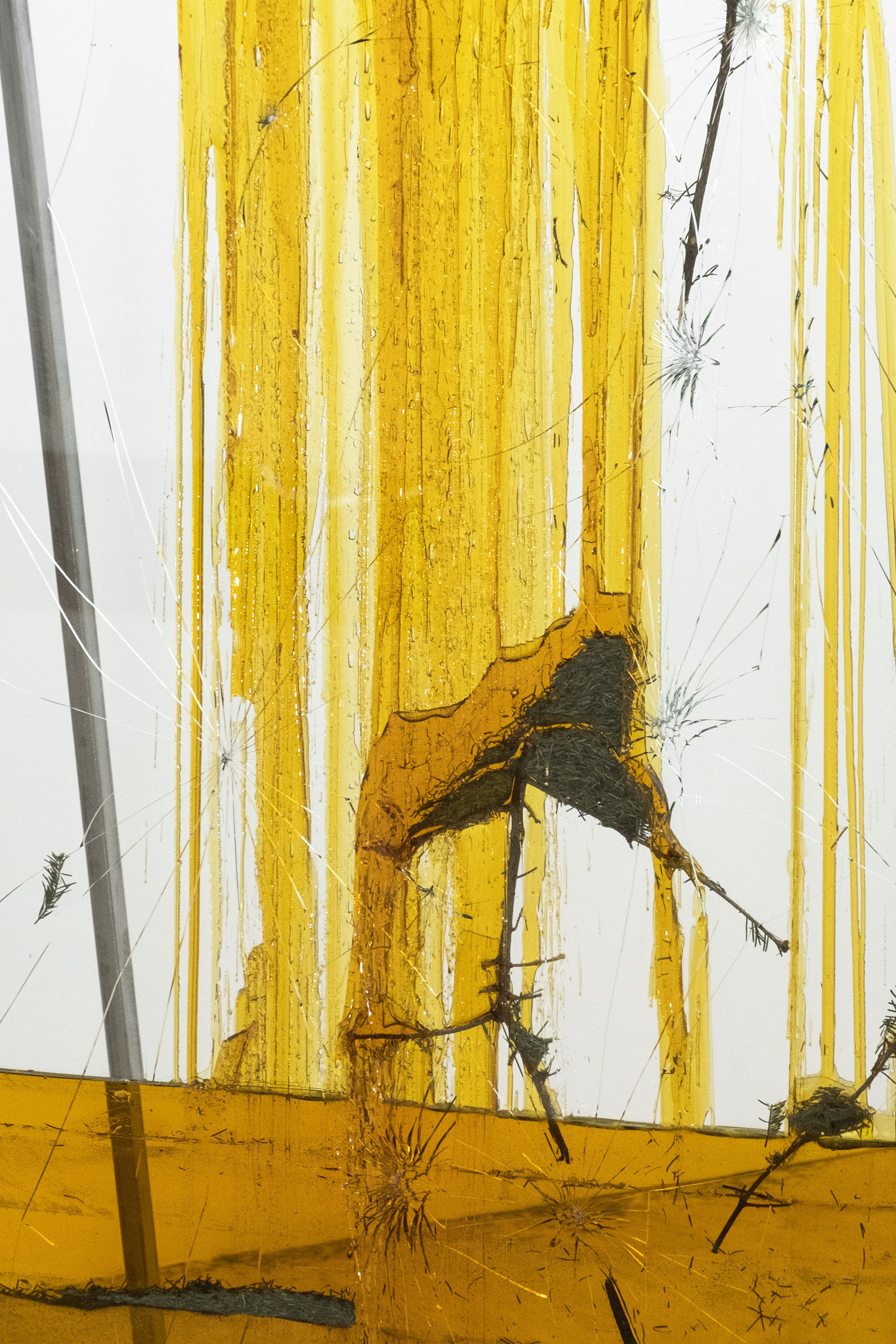 Jura Shust, Hardens on the surface and heals the wound II, 2023 (detail)