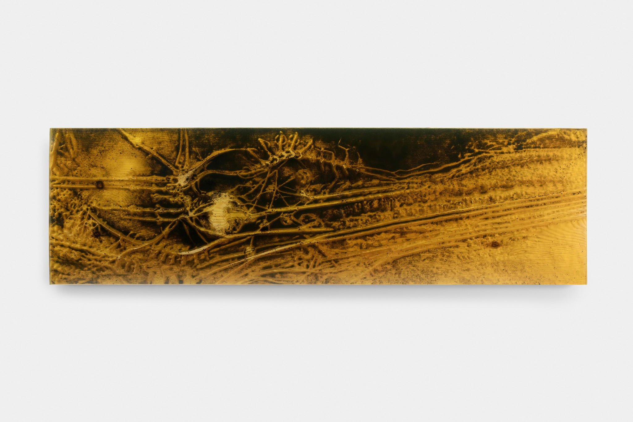 Jura Shust, Walking, knocking on the roots, and shaking the spruce paws #5, 2023