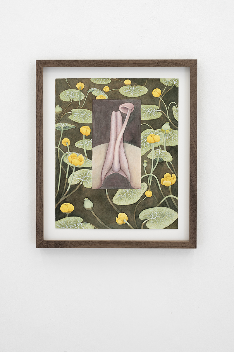 Oda Iselin SÃ¸nderland, "Djeveltunge" ["Devilâ€™s Tongue"], 2021 (Watercolour on paper, frame, 42 x 36 cm).