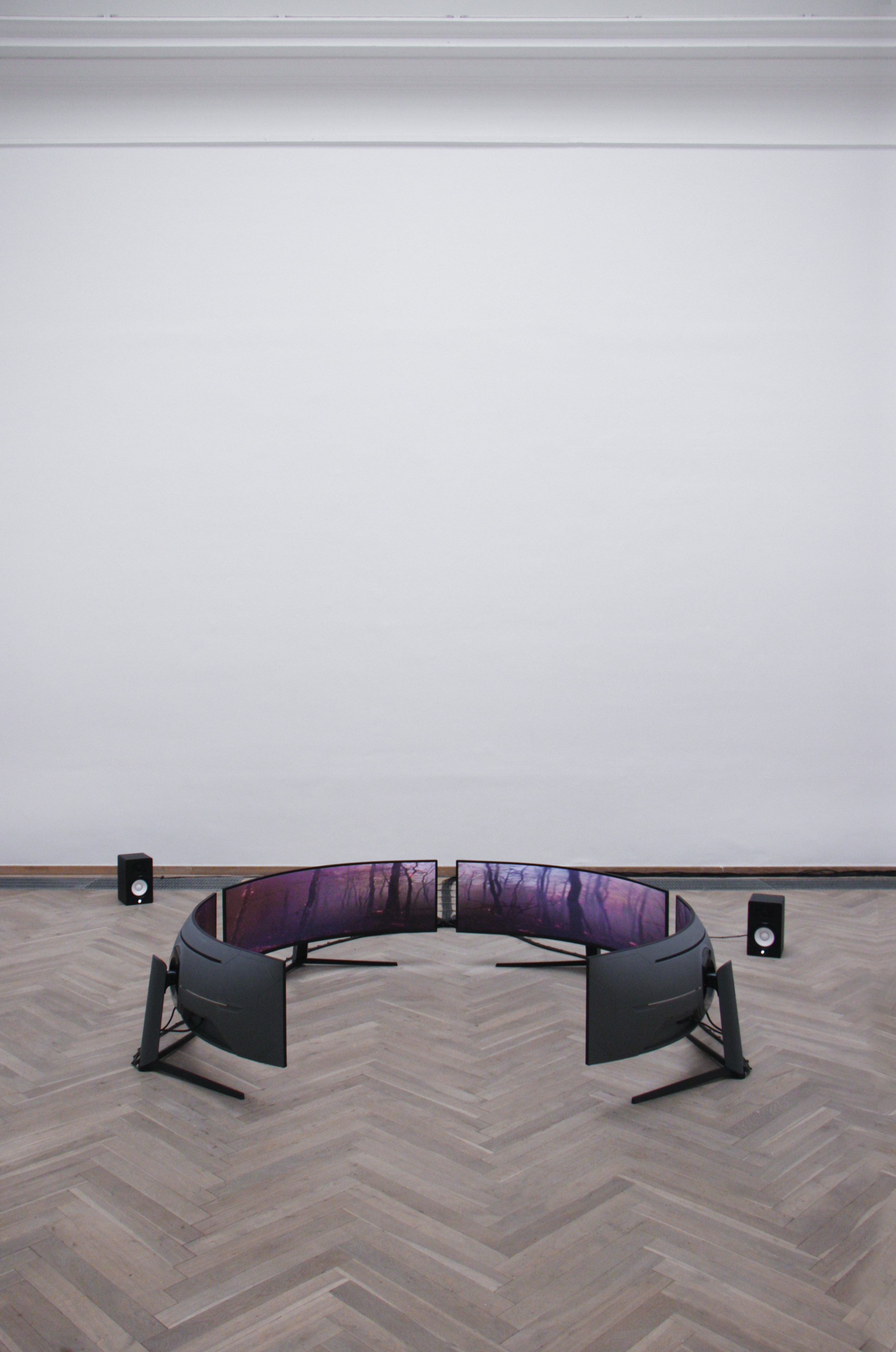 Terrarium, installation view