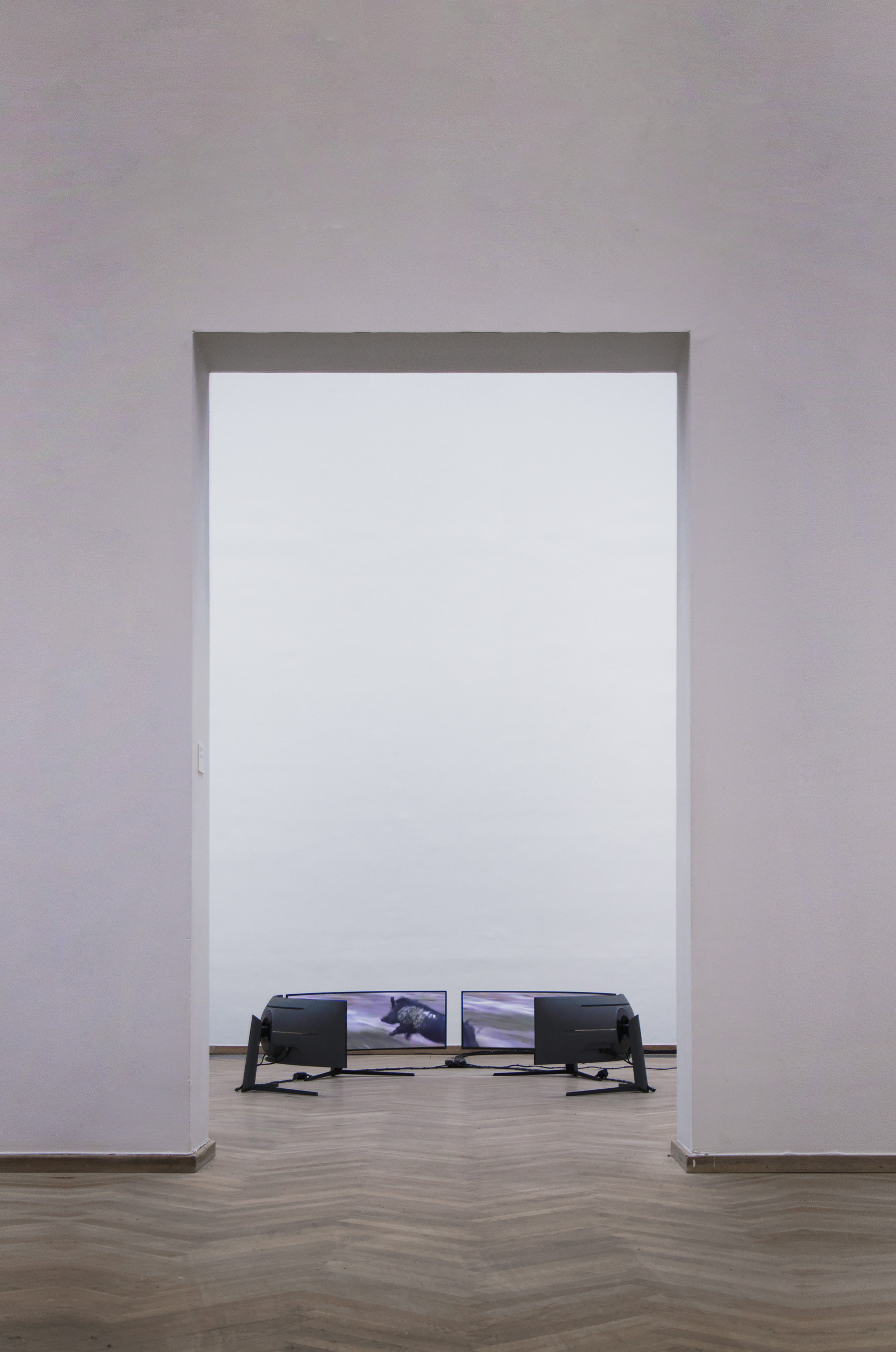 Terrarium, installation view