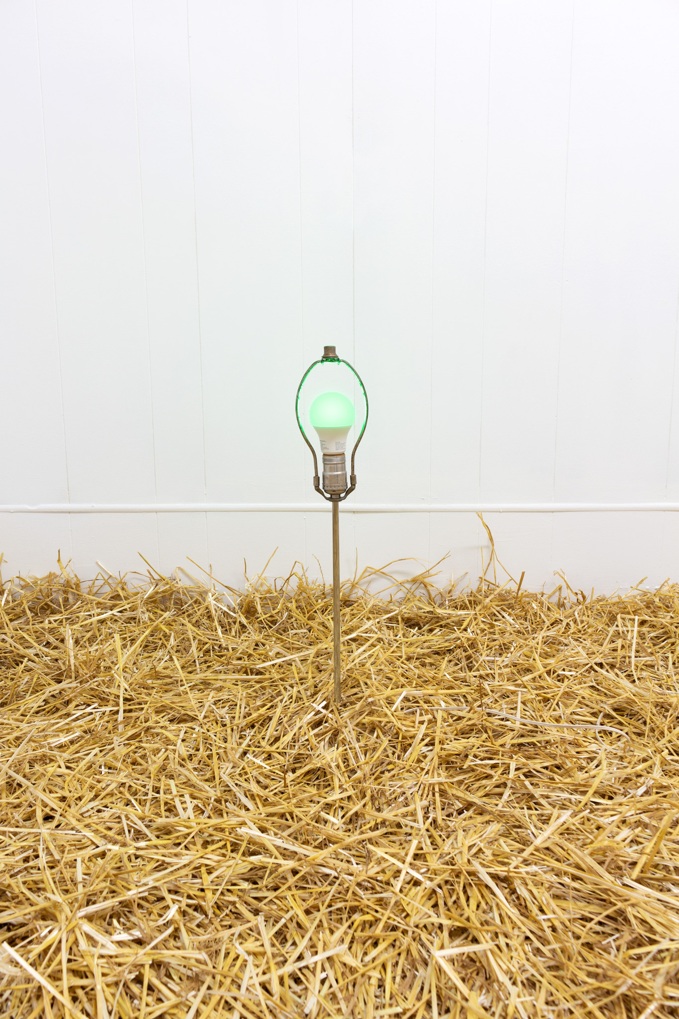 Melanie Wiksell, It wanders like a honeyed trace, 2023, Lamp, light bulb, 24 x 6 x 6 in
