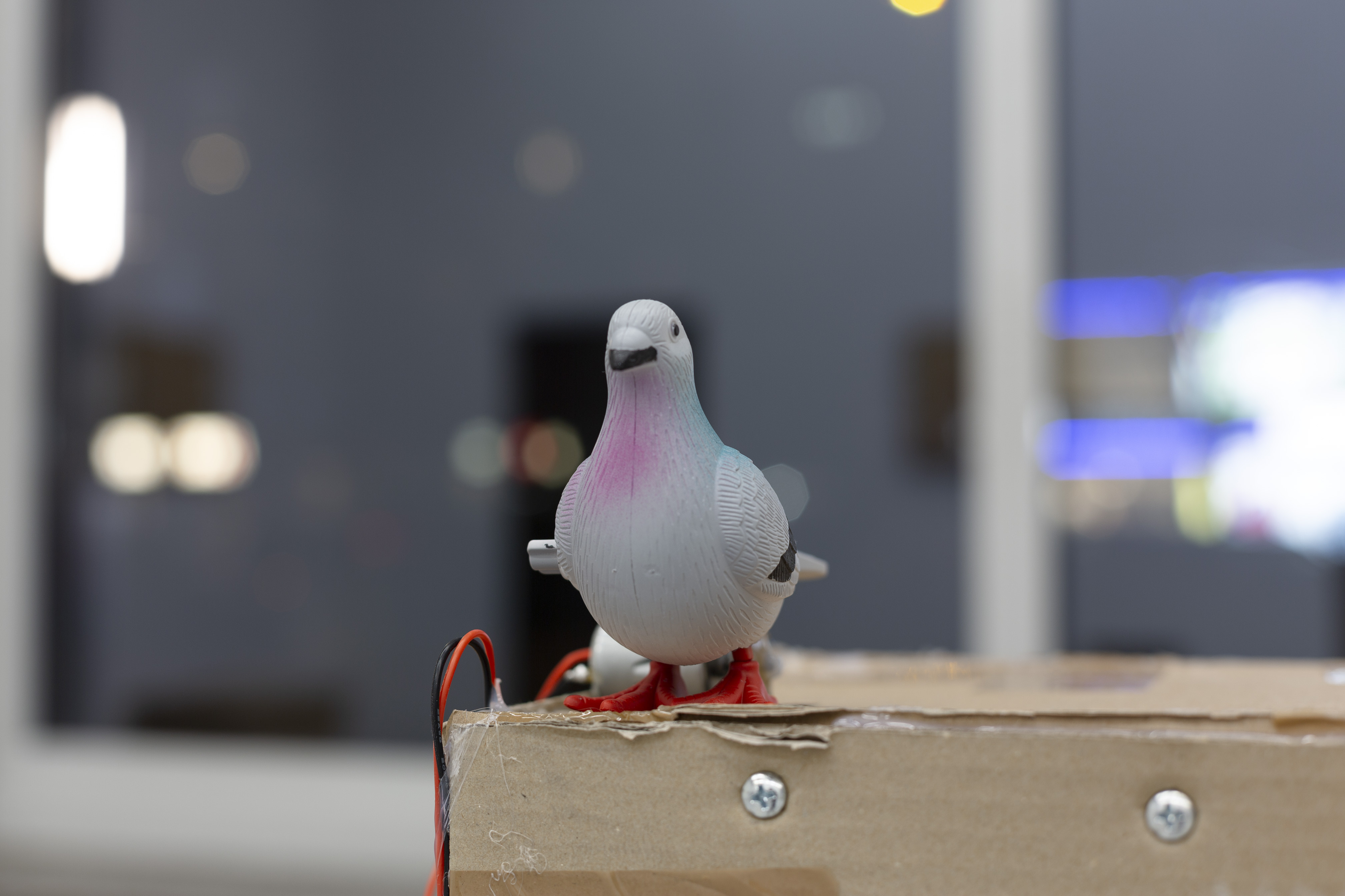 Pigeon-Core Plastic birds, Arduino Microcontroller, Motors, Electronics, Hardware, Cardboard (detail)