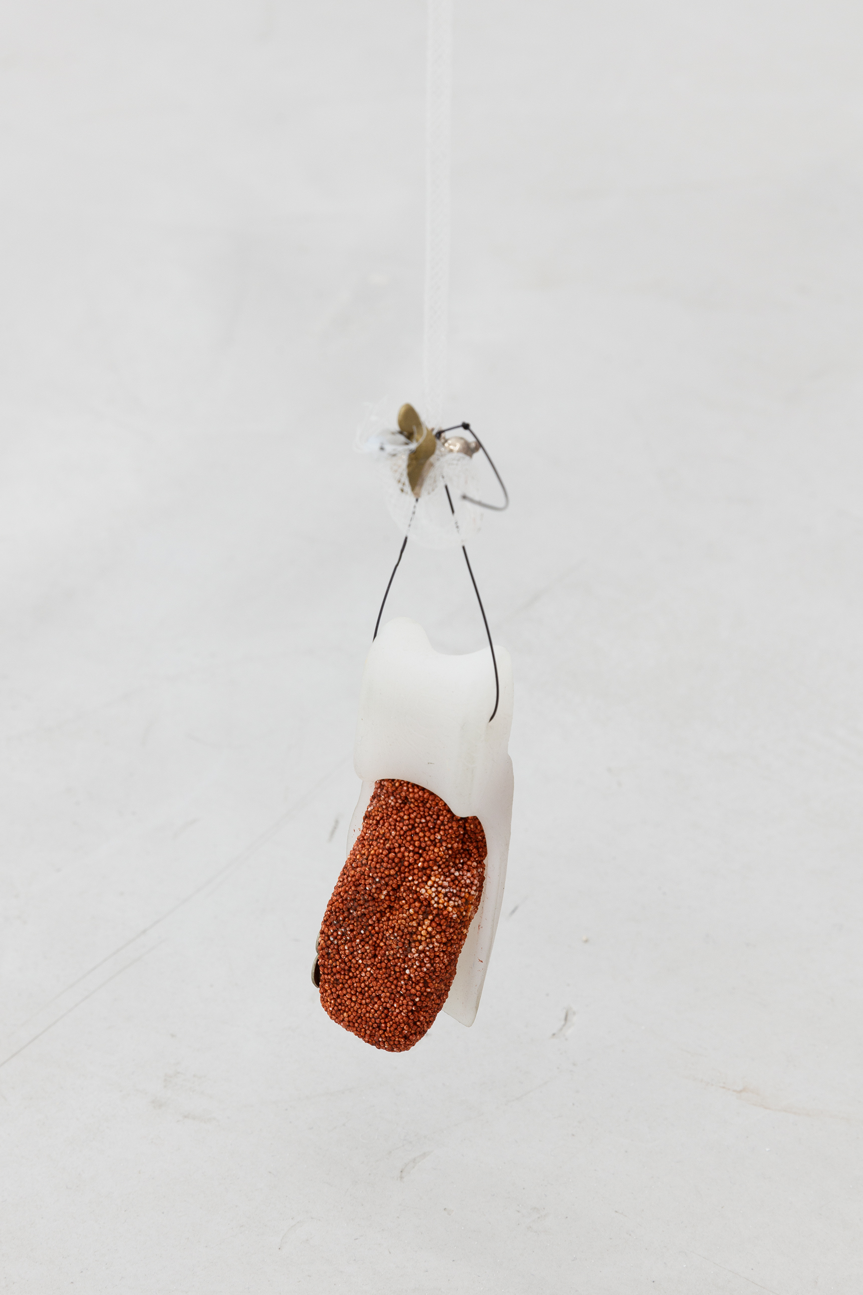 Nie Ohne Seife Waschen (Oddity), 2022, Diana Barbosa Gil, sewing accessories, needle, seeds, silicone, plastic, fishing supplies, insoles, brass, plants, variable dimensions (Diana Barbosa Gil @dianabarbosagil)