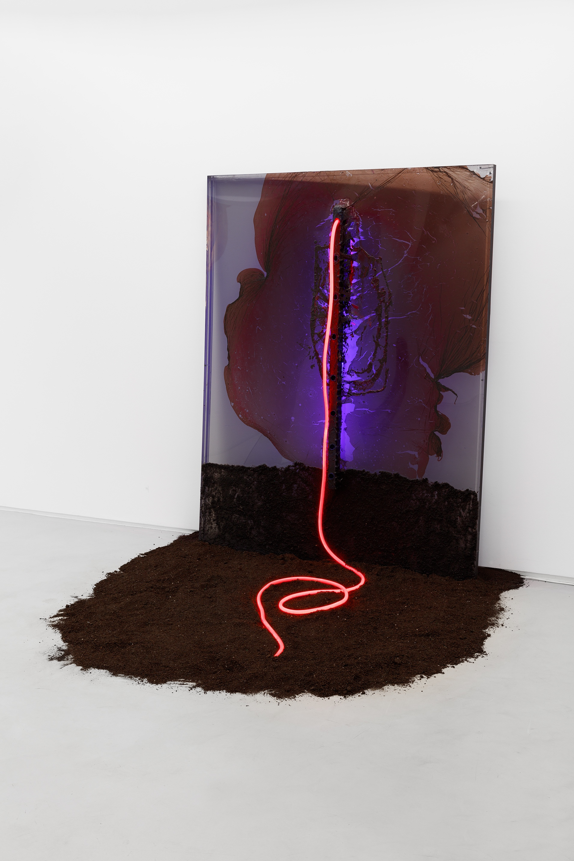 Visgraat X, 2015-2023, NĂĄdia Duvall, Led light, aluminium, paint skin, cardboard and acrylic, soil, 170x130x15 cm (NĂĄdia Duvall @art.nadia.duvall)