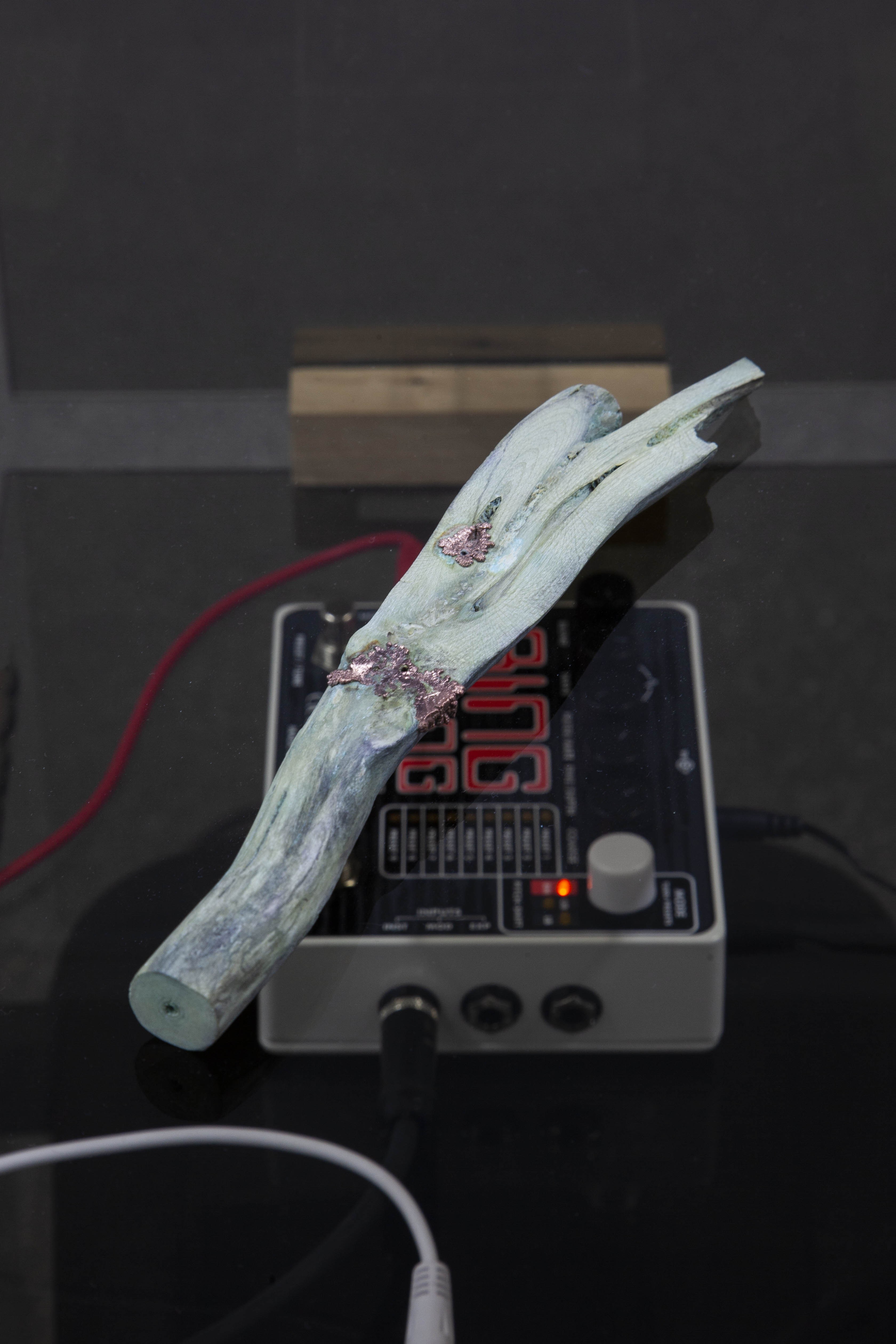 Summoner (ΧÎÎ΄ÎÎÎÎÎ), 2023 Glass, oak, driftwood, copper, copper sulfate, photovoltaicx cells, contact microphone, ring modulators, pitch shifter, audio cables, PA