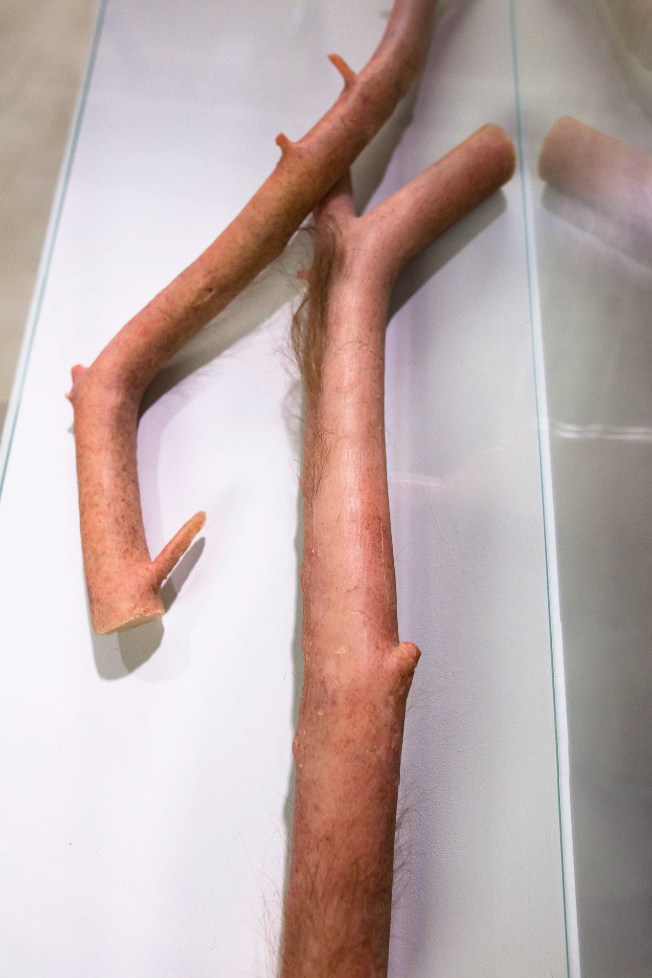 Grzegorz Kumorek Hybrid, silicone, gypsum, 2023