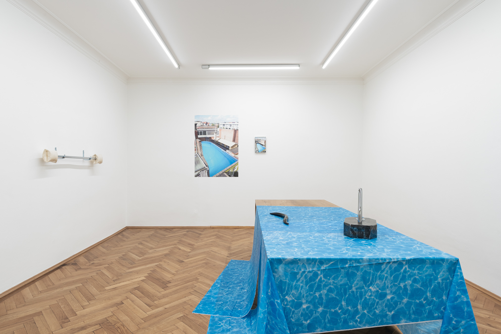 Installation view, Judith Adelmann, "take me to the river", Britta Rettberg Munich