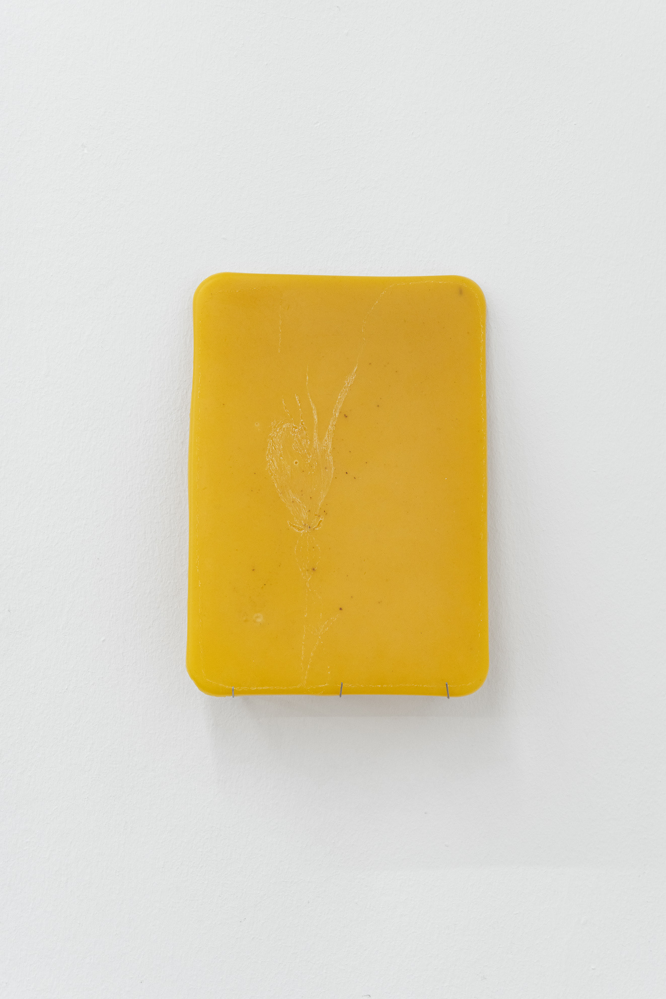 Laura Ní Fhlaibhín, "Pearls are dripping from their furry hole", 2023, engraved beeswax tablet, cast from surgical tray, 20 x 30 cm