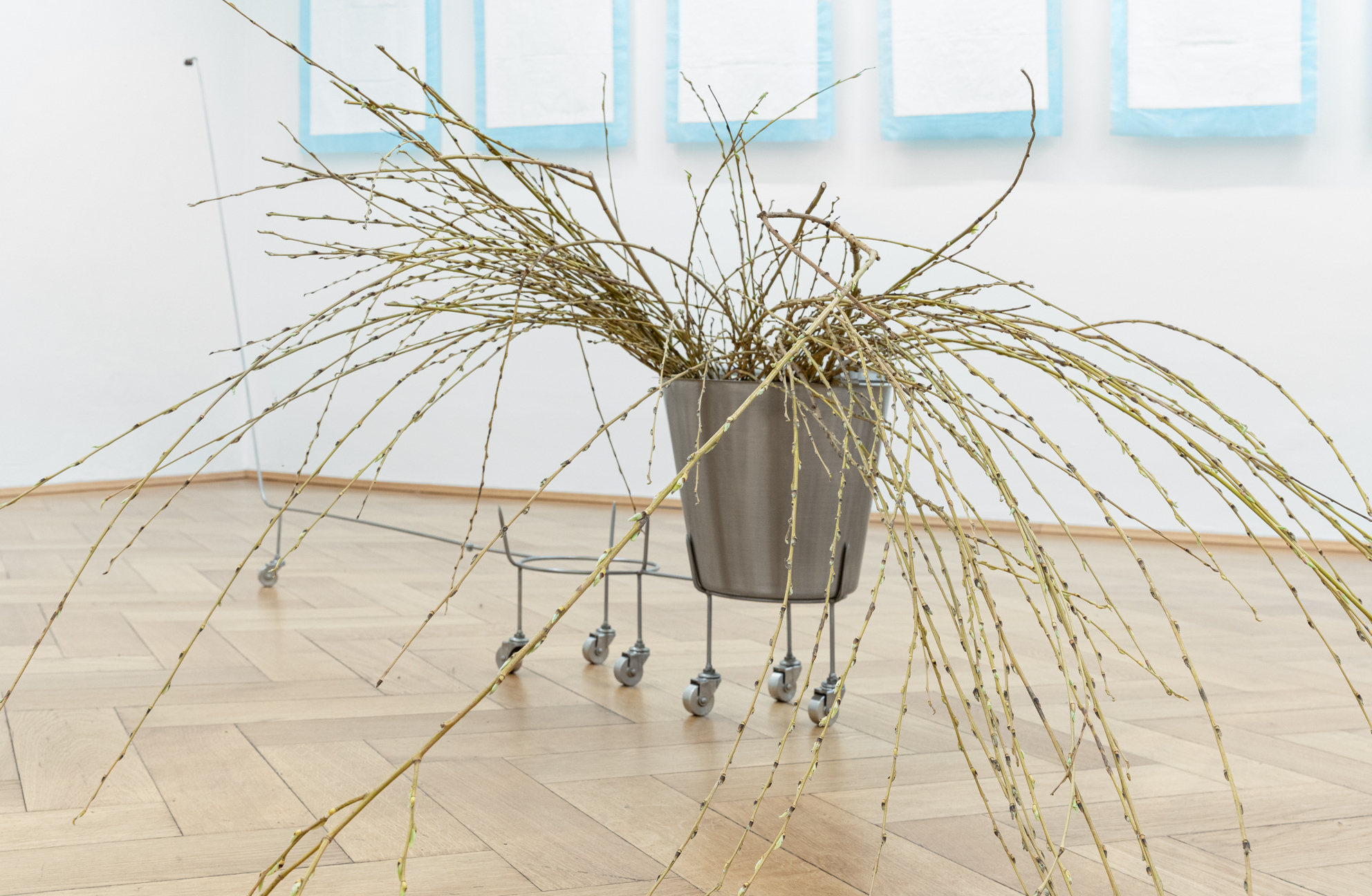 Laura Ní Fhlaibhín, "all the willows whisper their wishes for you", 2023, stainless steel trolley, bronze amulet cast from great aunt Bridie’s gift, stainless steel buckets, stainless steel swivel wheels, willow shoots, 200 x 100 cm