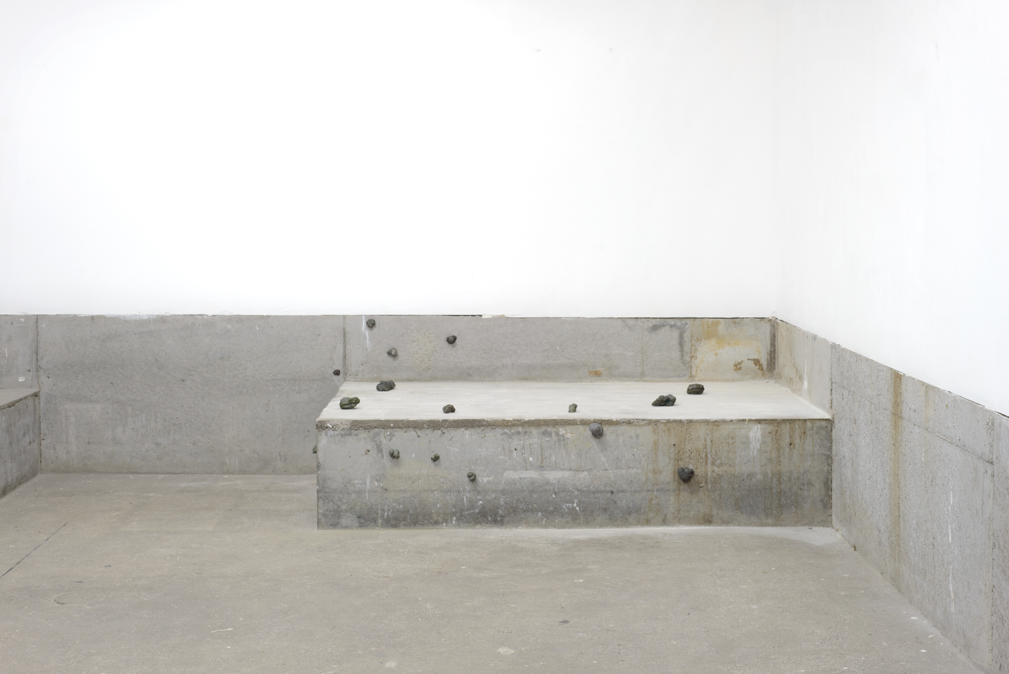 Chantal van Rijt, Houses of Louses, enlarged imprints of houses of the spiral gall aphid, plaster, pigment, graphite, 2023
