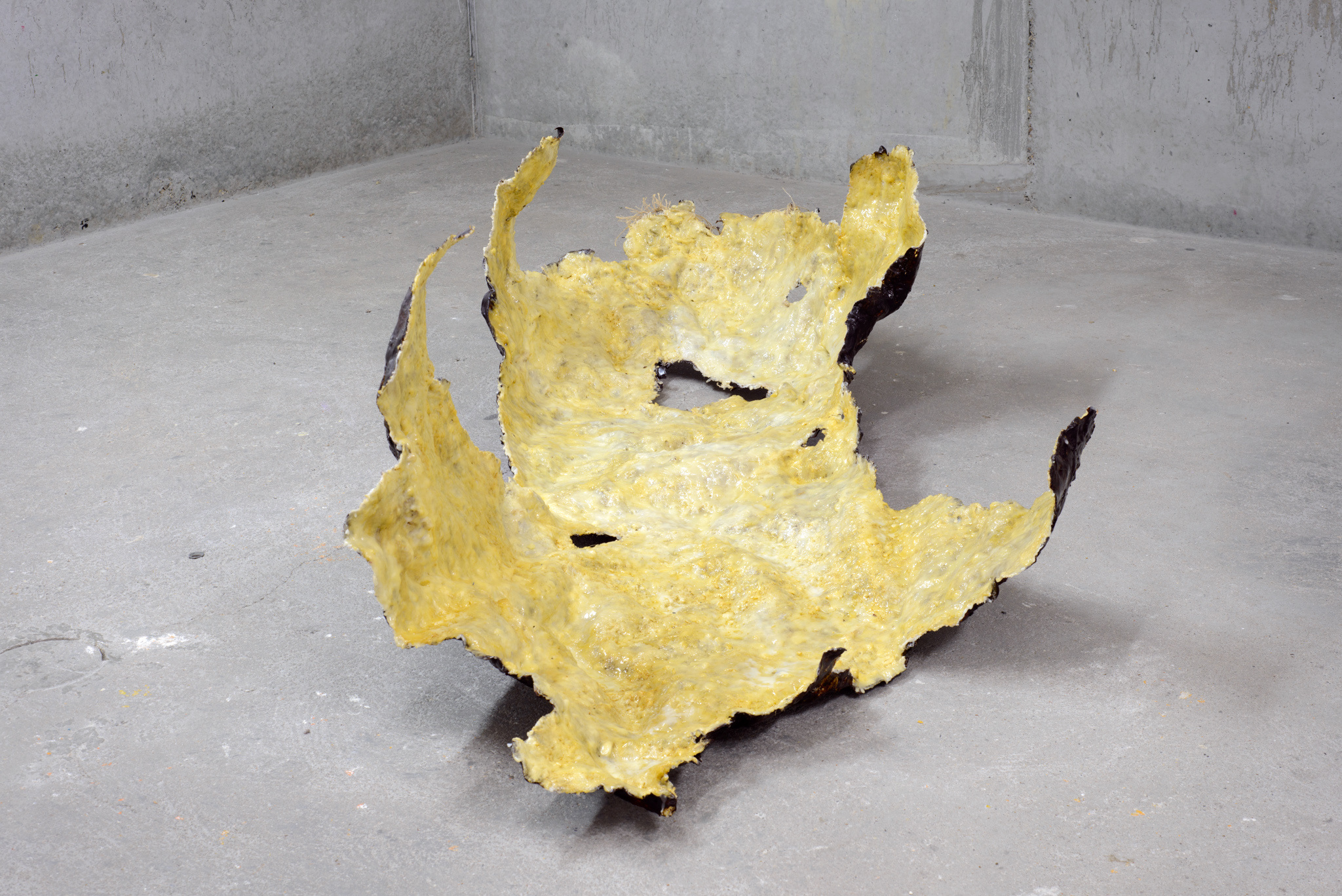 Chantal van Rijt, Les Bestioles, secretion of Kerria lacca insects, beewax, plant fibre, 2023