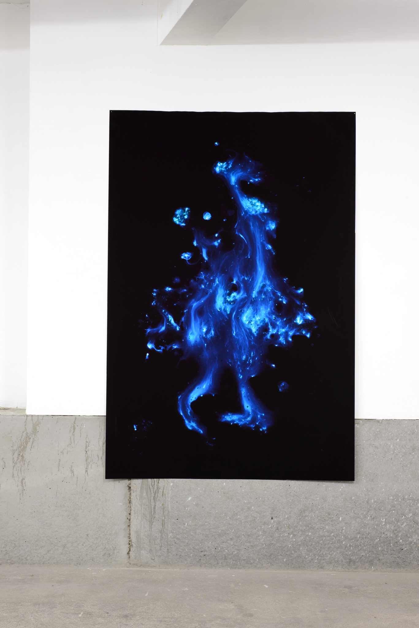 Chantal van Rijt, Dinoflagelatta, bio-illuminescent algae, photographic print, 2023
