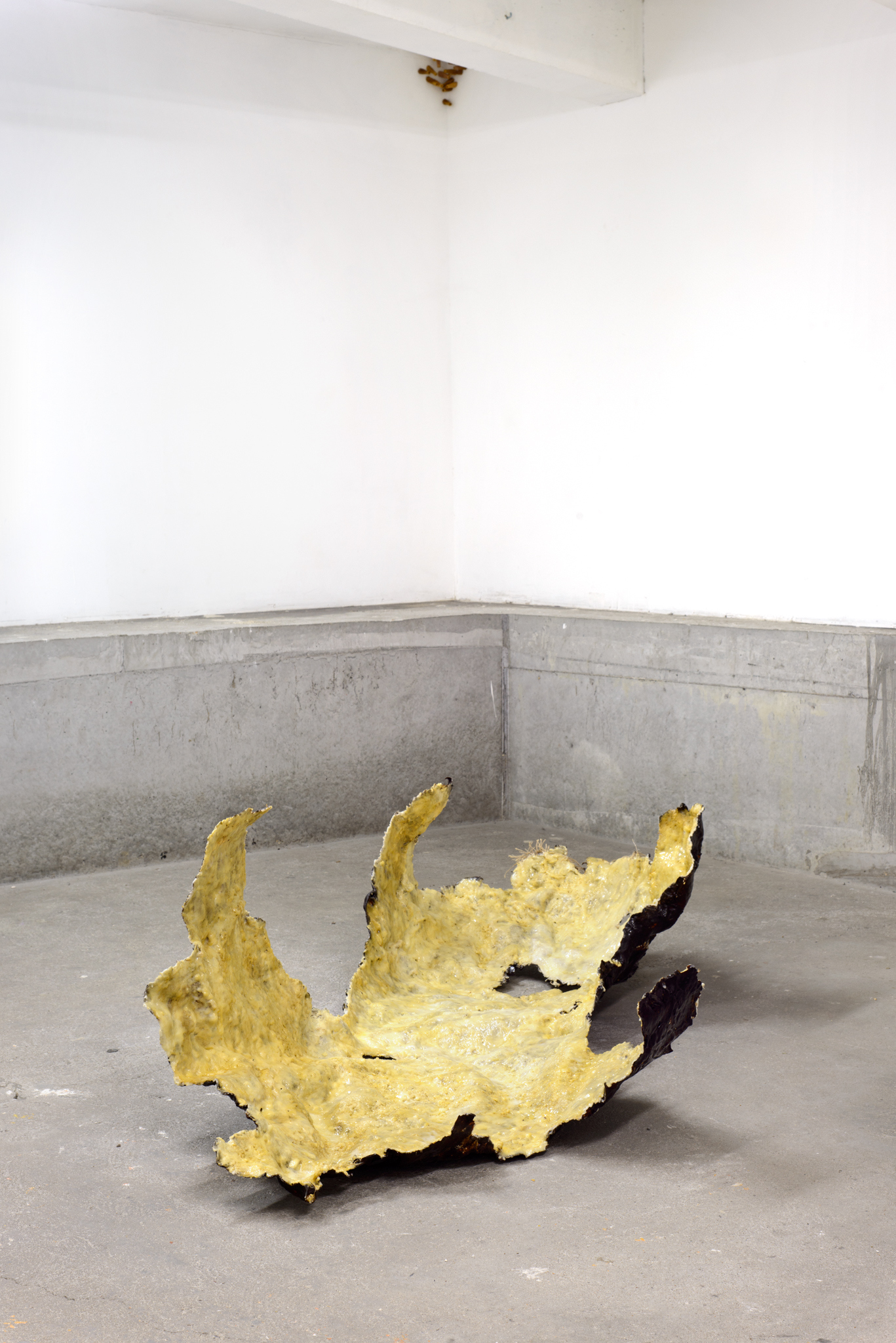 Chantal van Rijt, installation view, A Plea for the Unpleasant, 2023