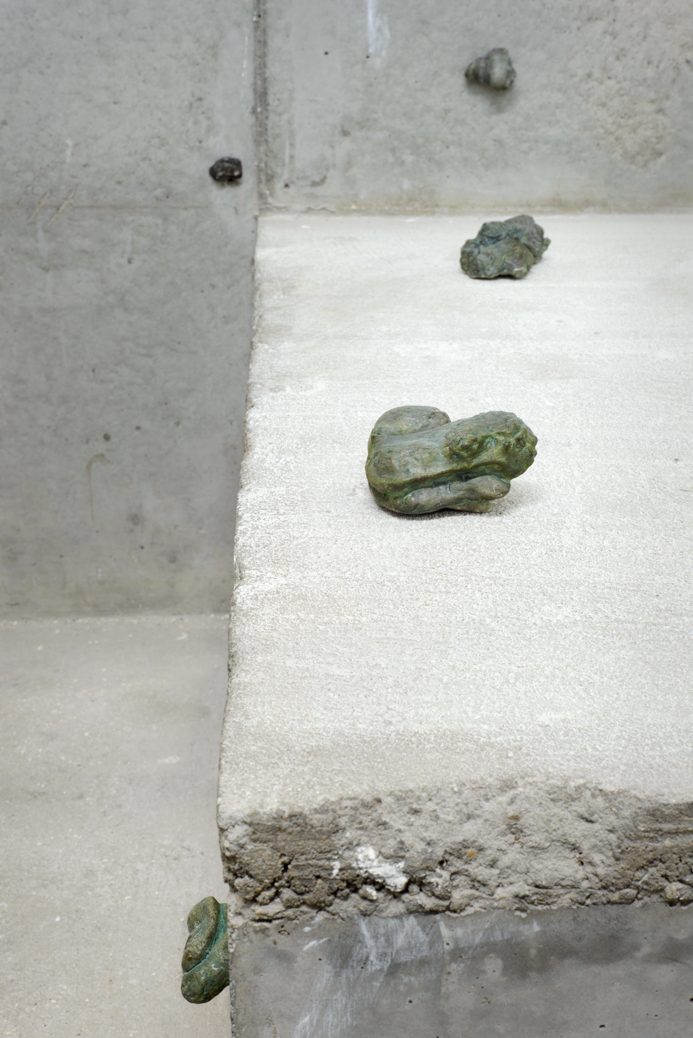 Chantal van Rijt, Houses of Louses, enlarged imprints of houses of the spiral gall aphid, plaster, pigment, graphite, 2023