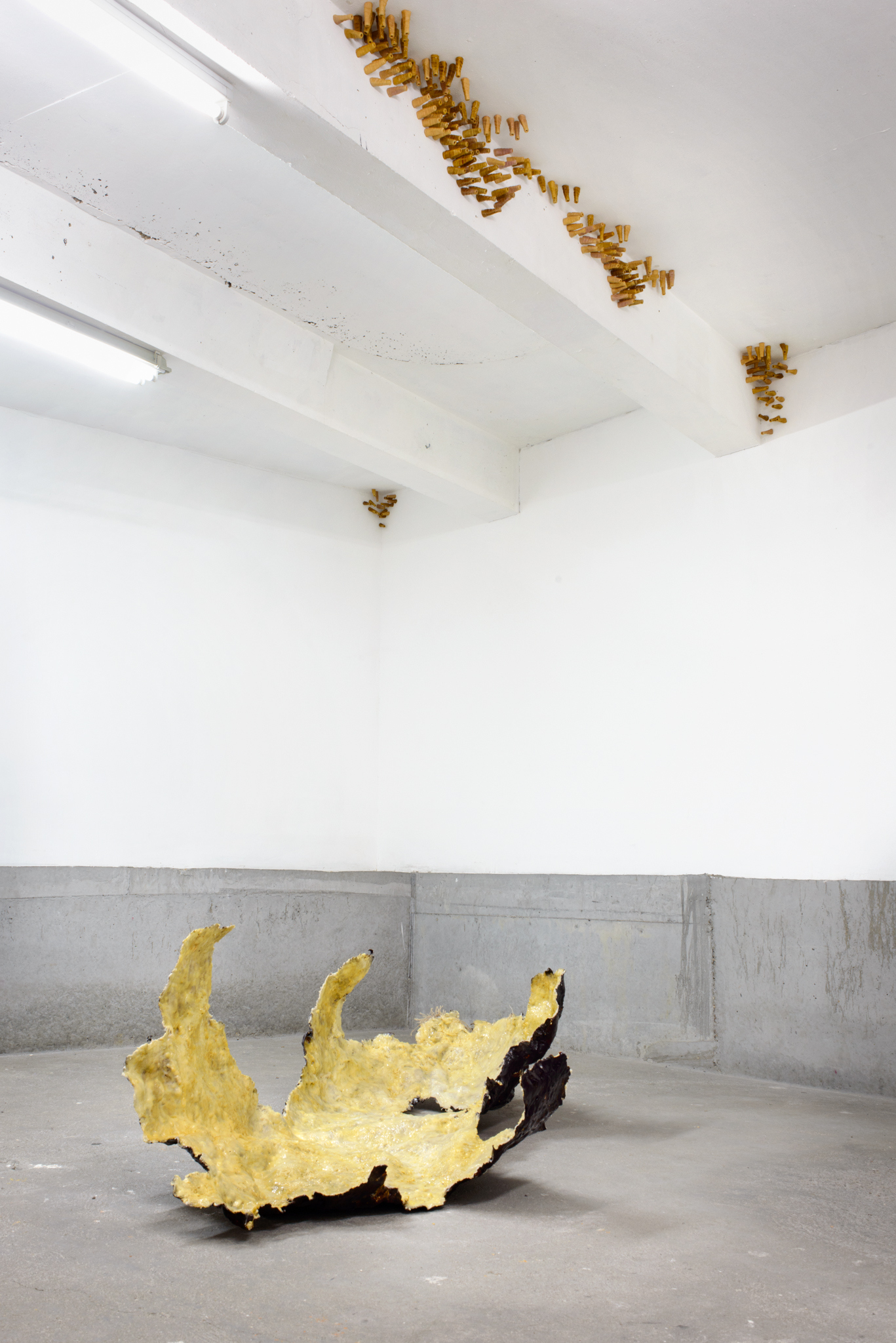 Chantal van Rijt, Installation view, A Plea for the Unpleasant, 2023