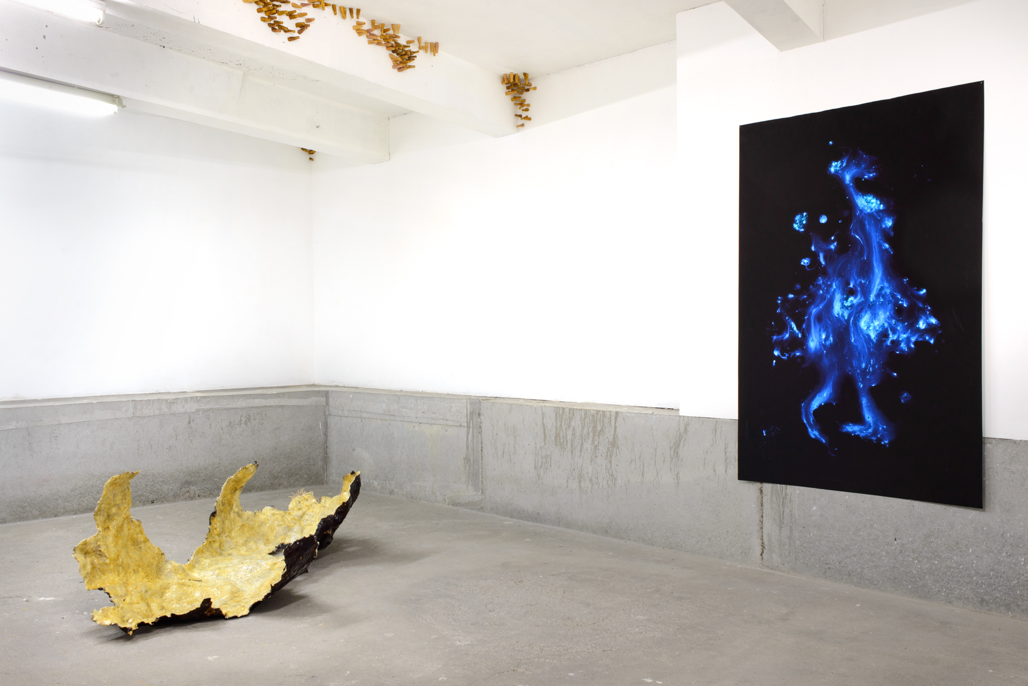 Chantal van Rijt, Installation view, A Plea for the Unpleasant, 2023