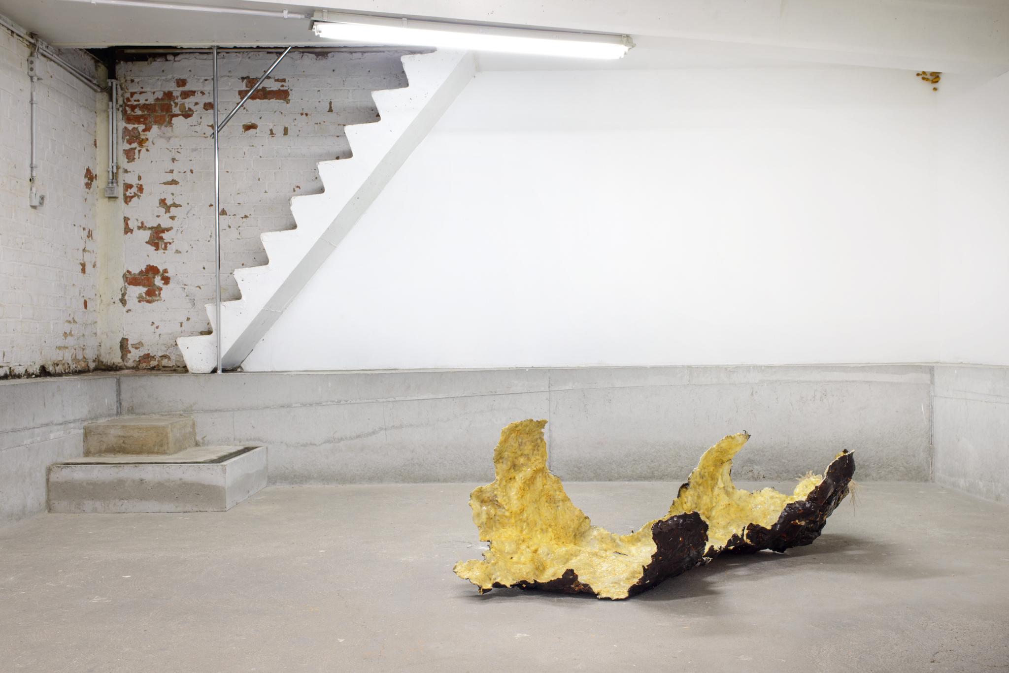 Chantal van Rijt, installation view, A Plea for the Unpleasant, 2023