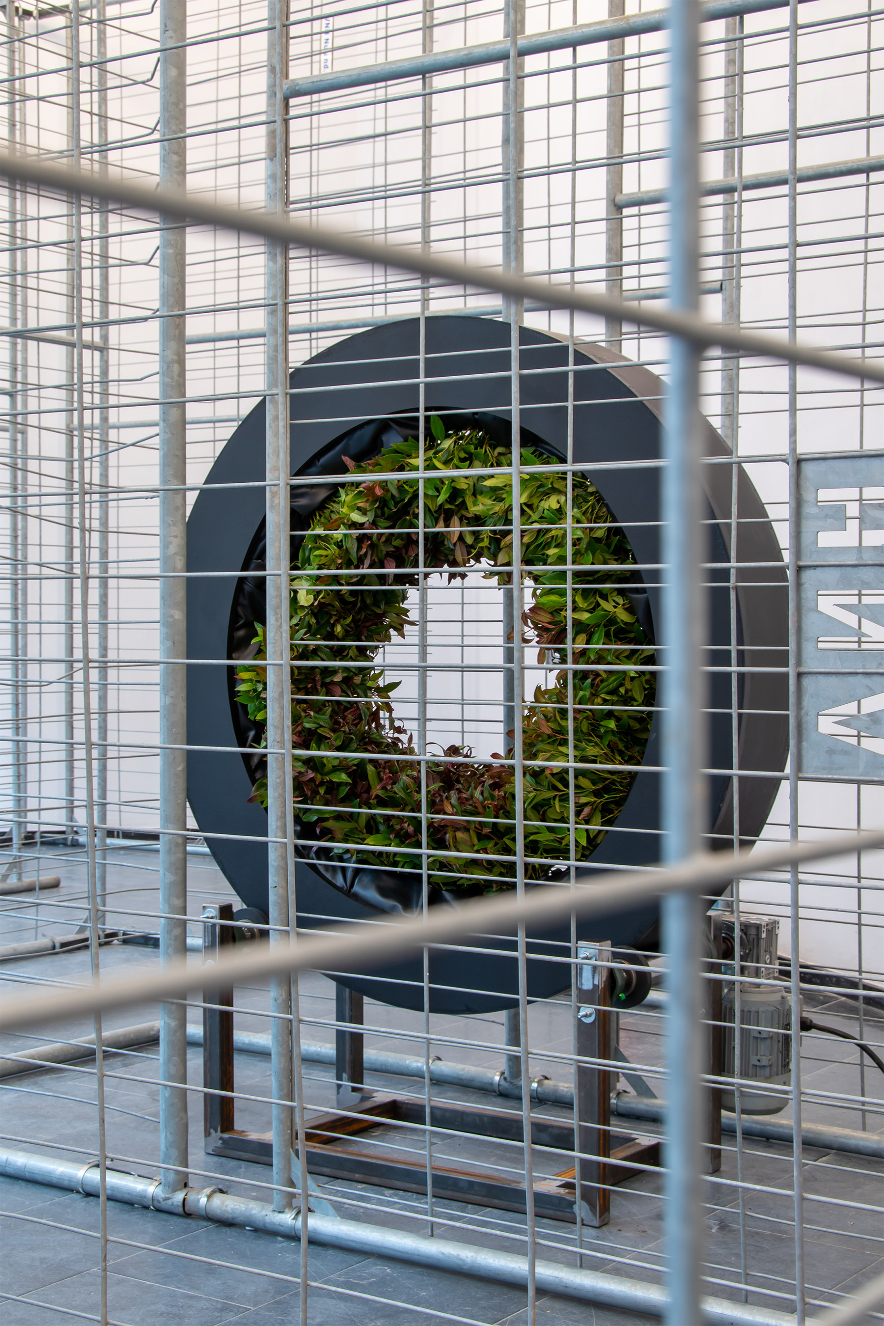 HEG (Hedge), 2023, steel, multiplex, cocos, pontliner, plants, soil, motor