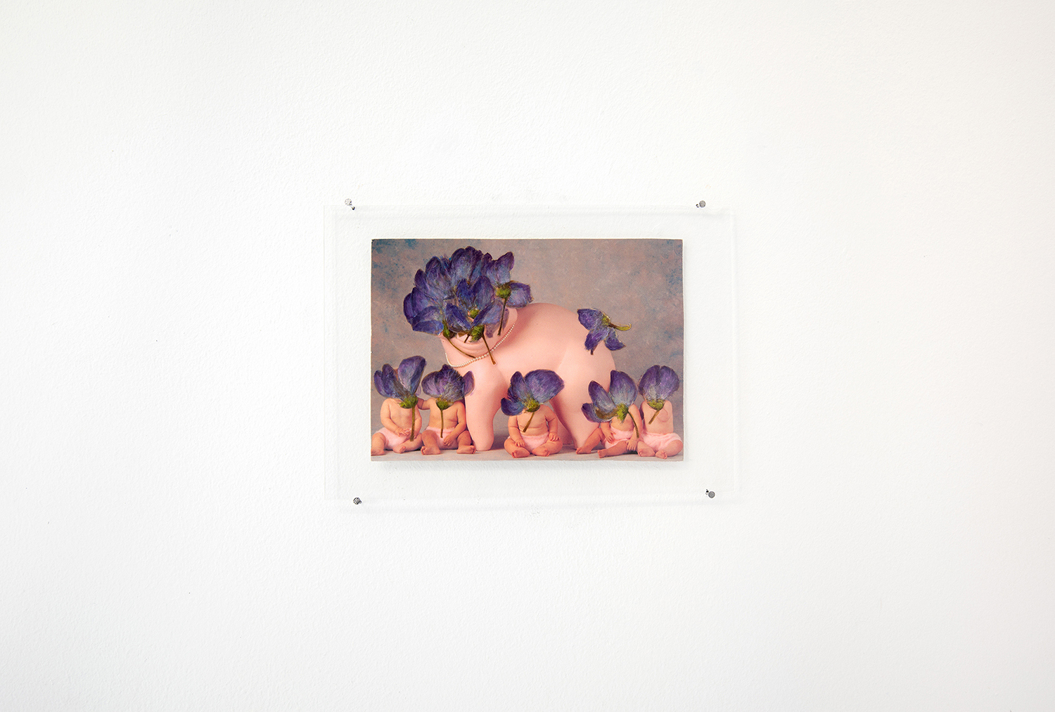 After Anne Geddes, 2020, dried flowers and acrylic paint on postcard, 15x10,7 cm