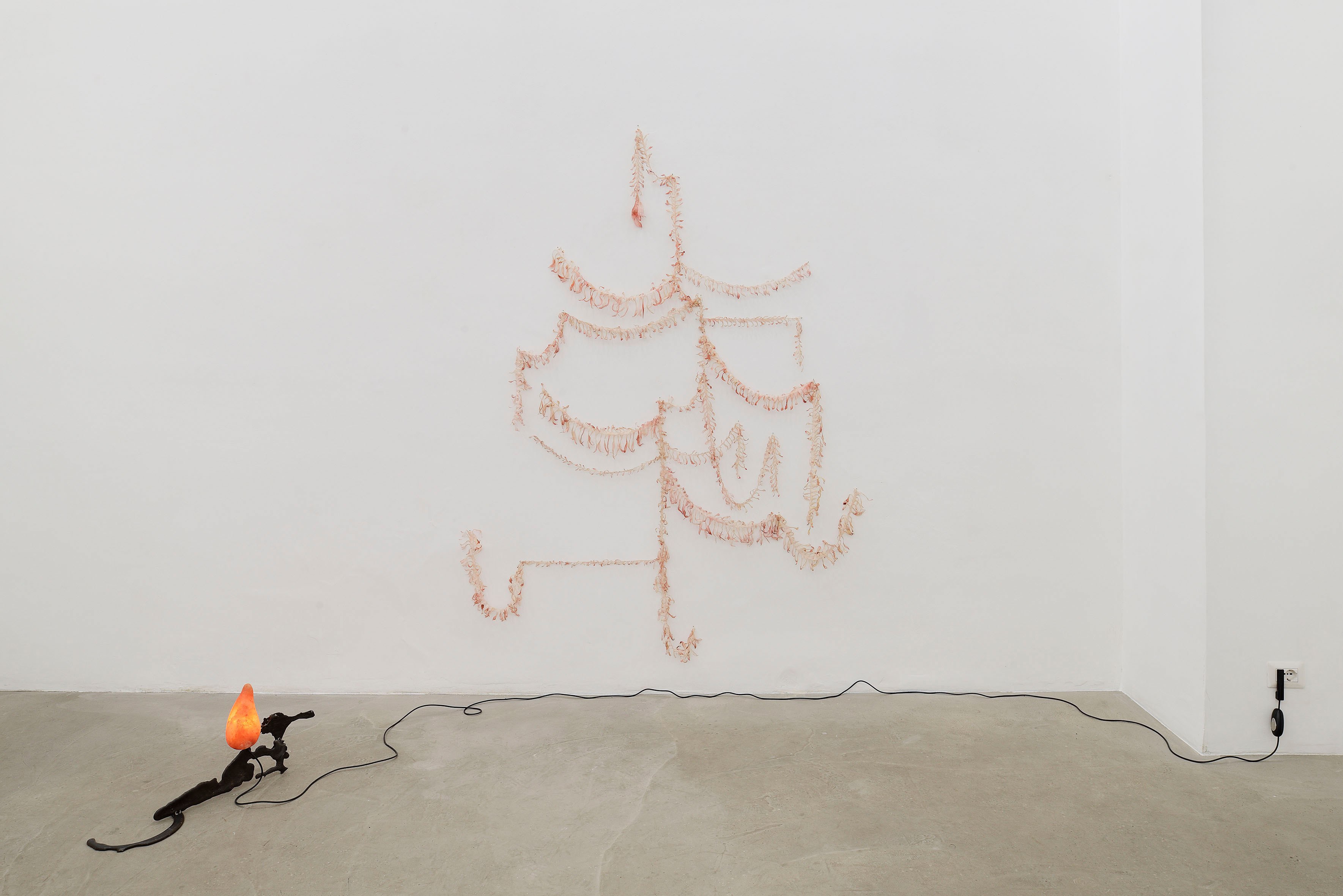 Jacopo Belloni, Mimema, 2023, installation view at ADA, Rome