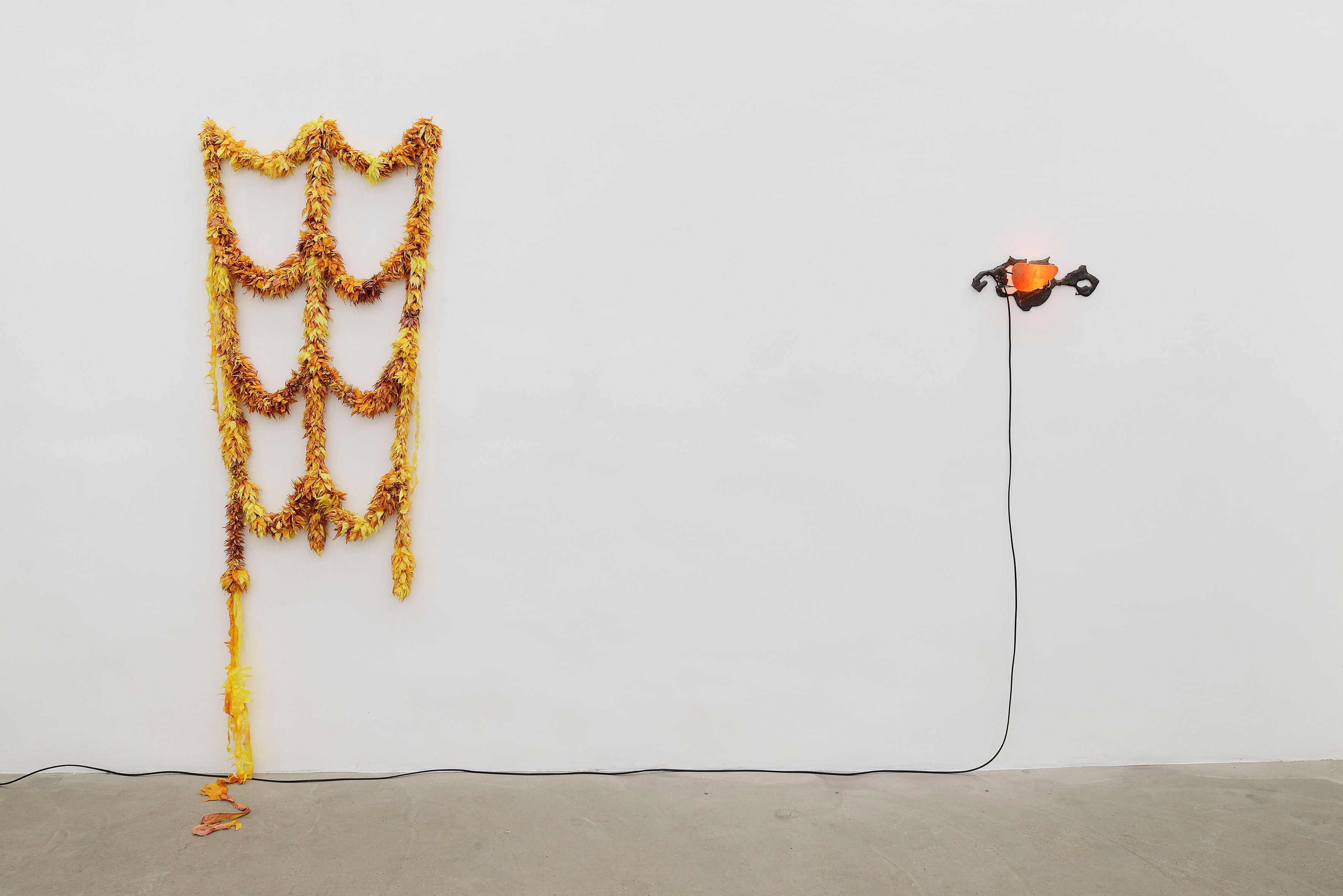 Jacopo Belloni, Mimema, 2023, installation view at ADA, Rome