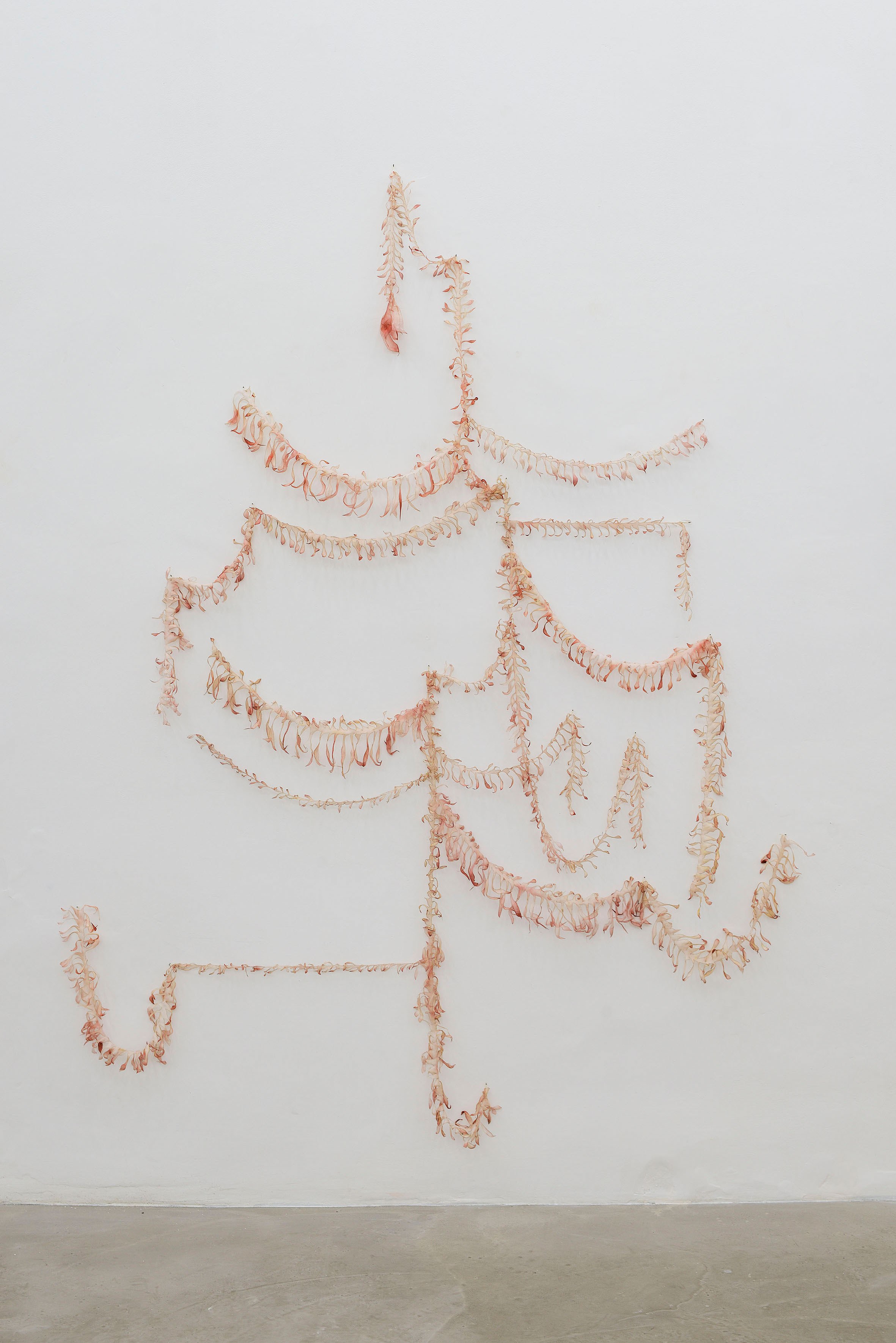 Jacopo Belloni, Birichino, 2023, silk, aniline, pigment, dimensions variable