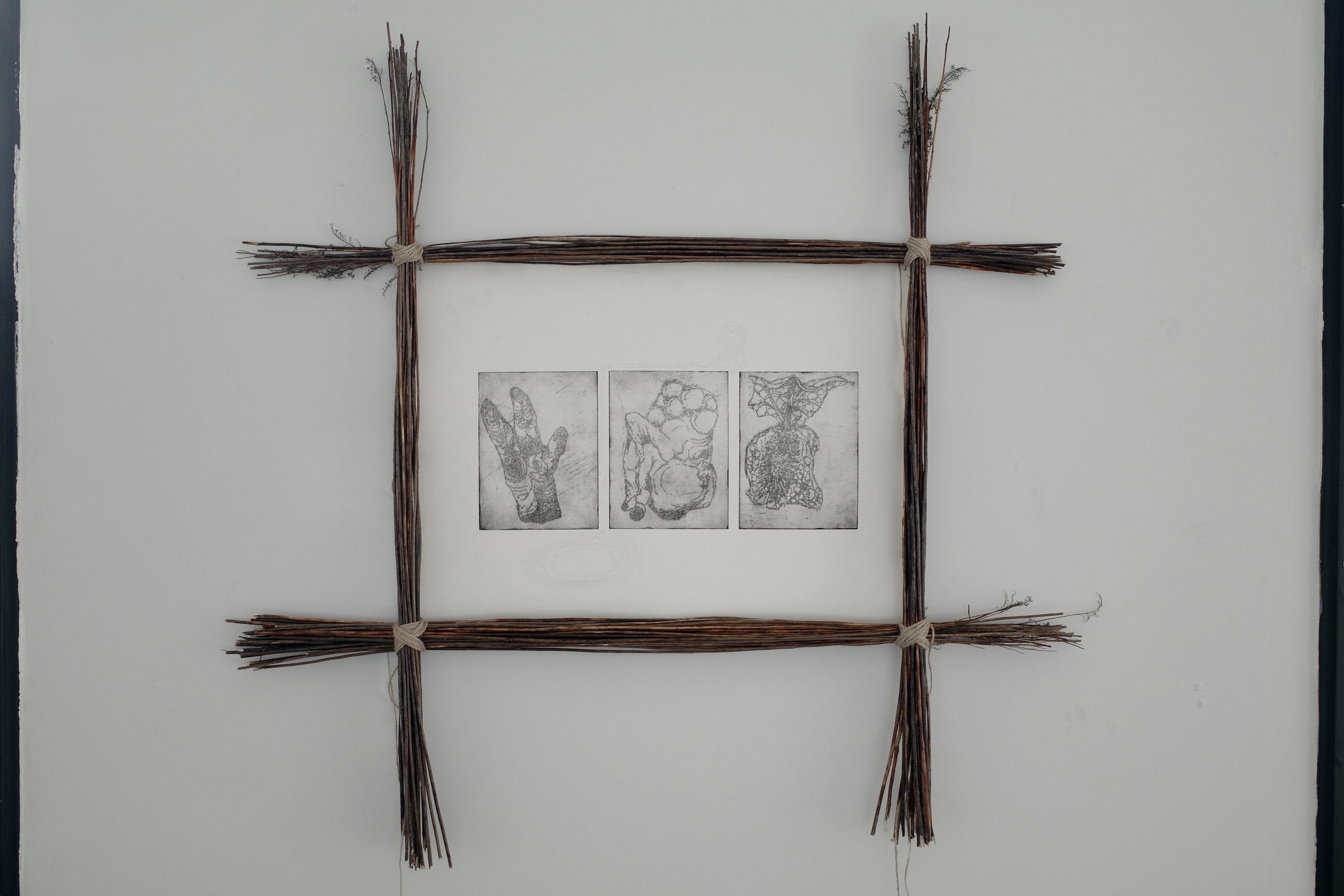 untitled (sigil), 2023, Anders Aarvik. Triptych copper etching on cotton paper sourced from archive of deceased artist, filtered soil and water-based ink, plotting with GraphGear 1000 mechanical pencil, dried branches, jute twine 