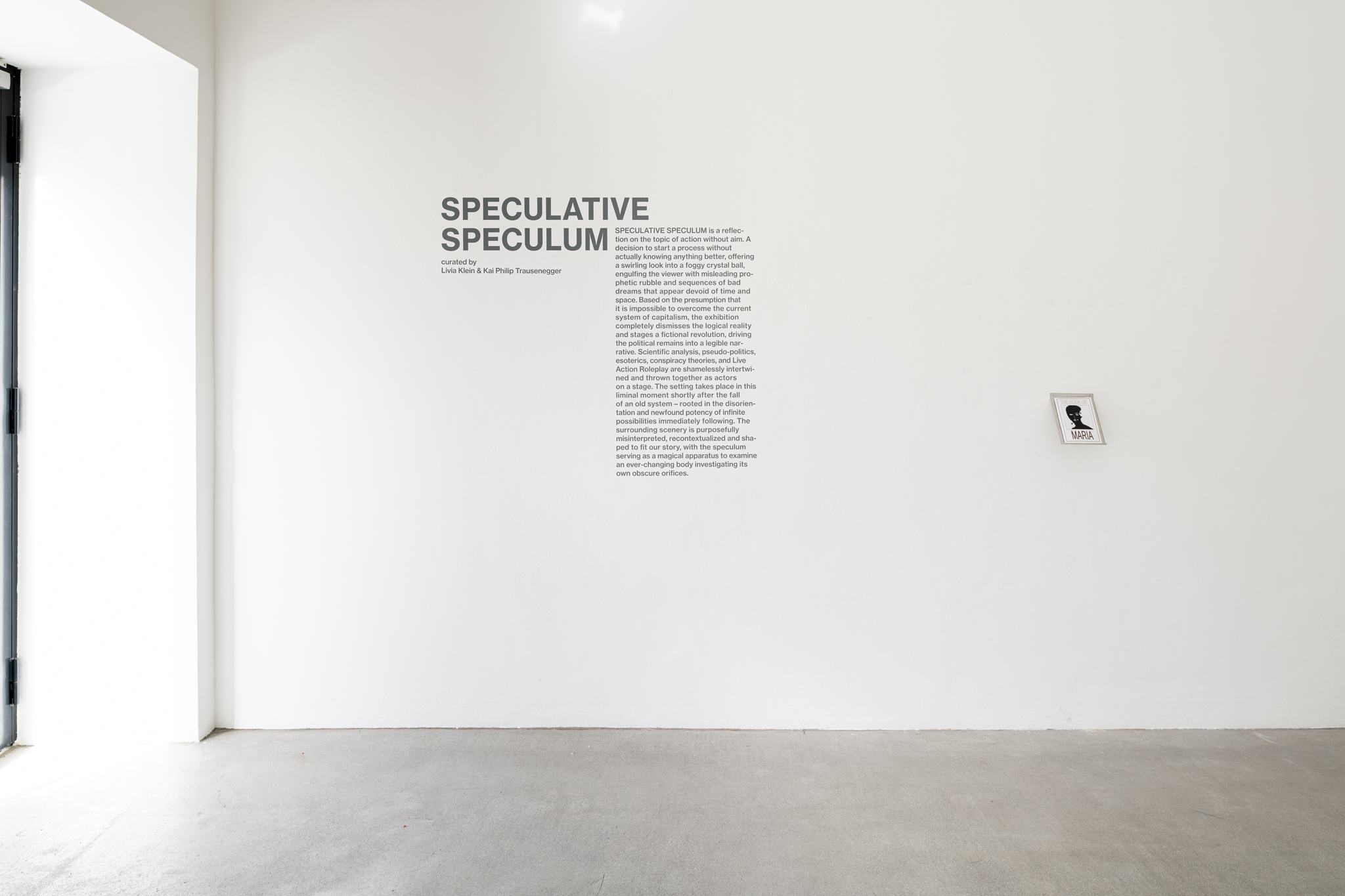 Installation view, SPECULATIVE SPECULUM, Galerie Raum mit Licht, Vienna, 2023