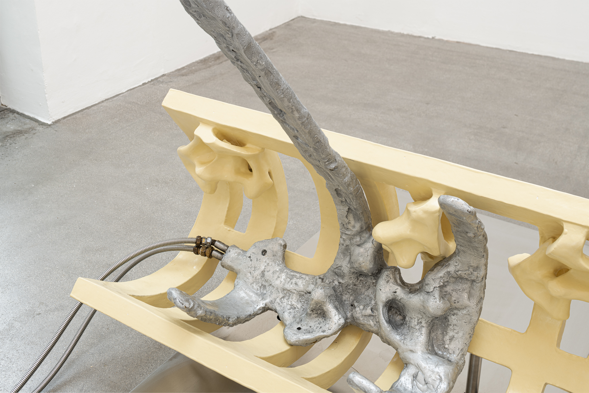 Installation view, SPECULATIVE SPECULUM, Galerie Raum mit Licht, Vienna, 2023