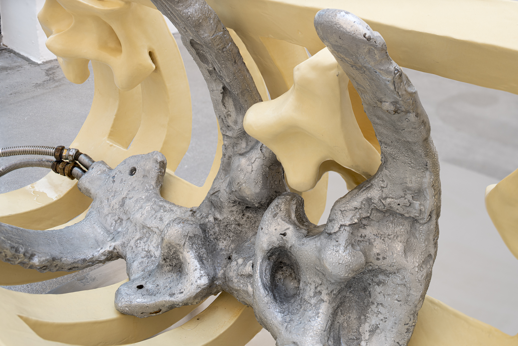 Installation view, SPECULATIVE SPECULUM, Galerie Raum mit Licht, Vienna, 2023