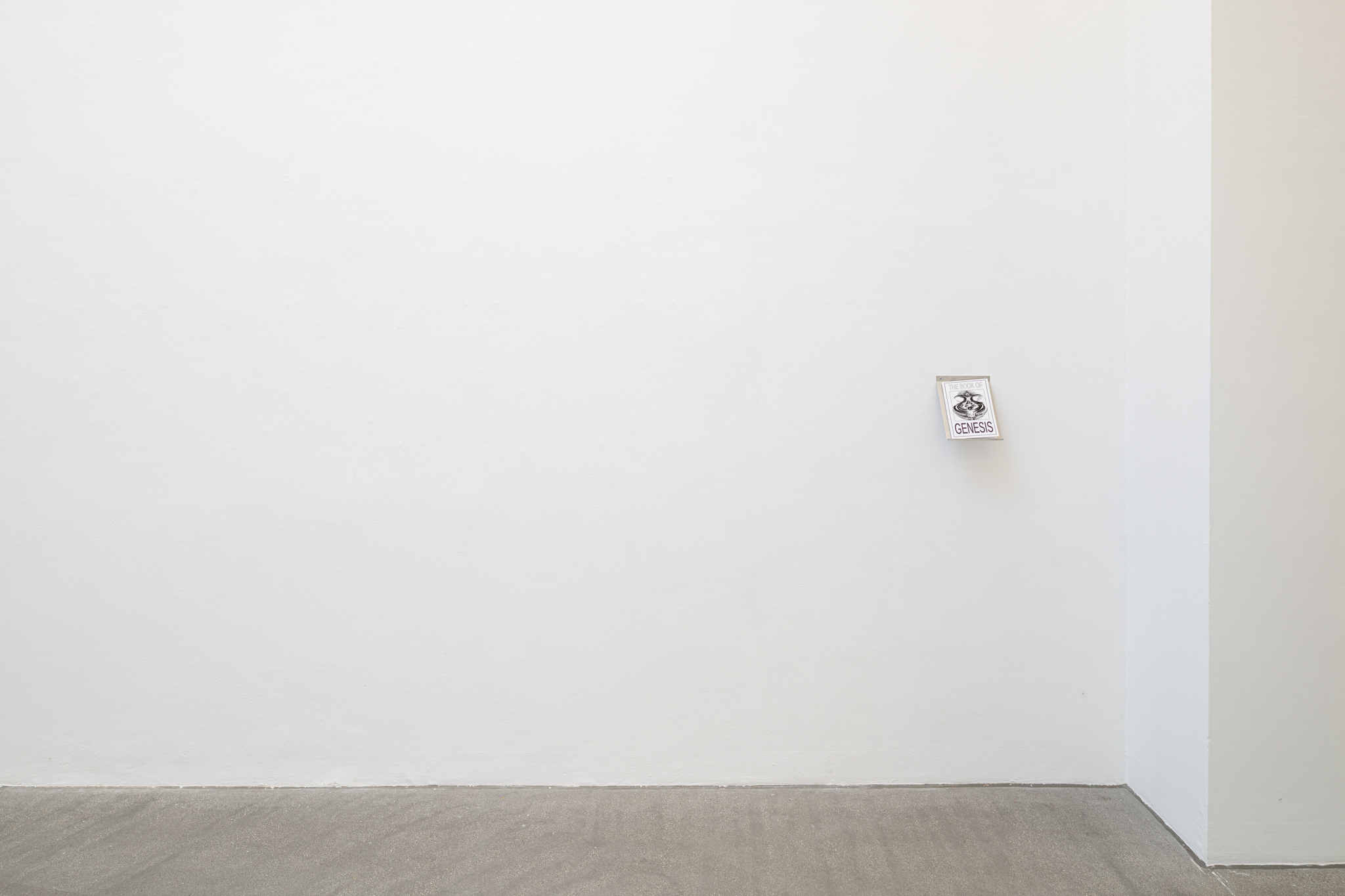 Installation view, SPECULATIVE SPECULUM, Galerie Raum mit Licht, Vienna, 2023