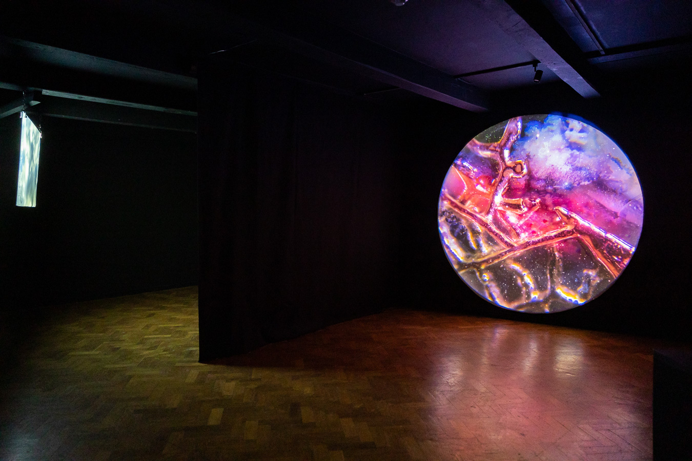 Sjoerd Martens, Earthskin, 19:50 min videoloop, 2019