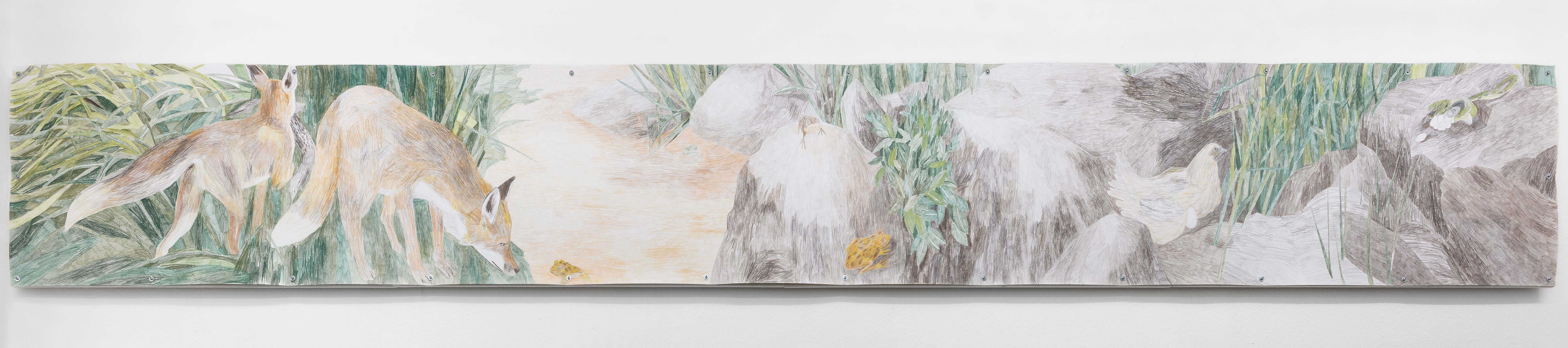 Agnese Galiotto, Of foxes and birds. Stories from the hill. (West), 2023, Crayon on paper on drywall mount, 480cm x 60cm