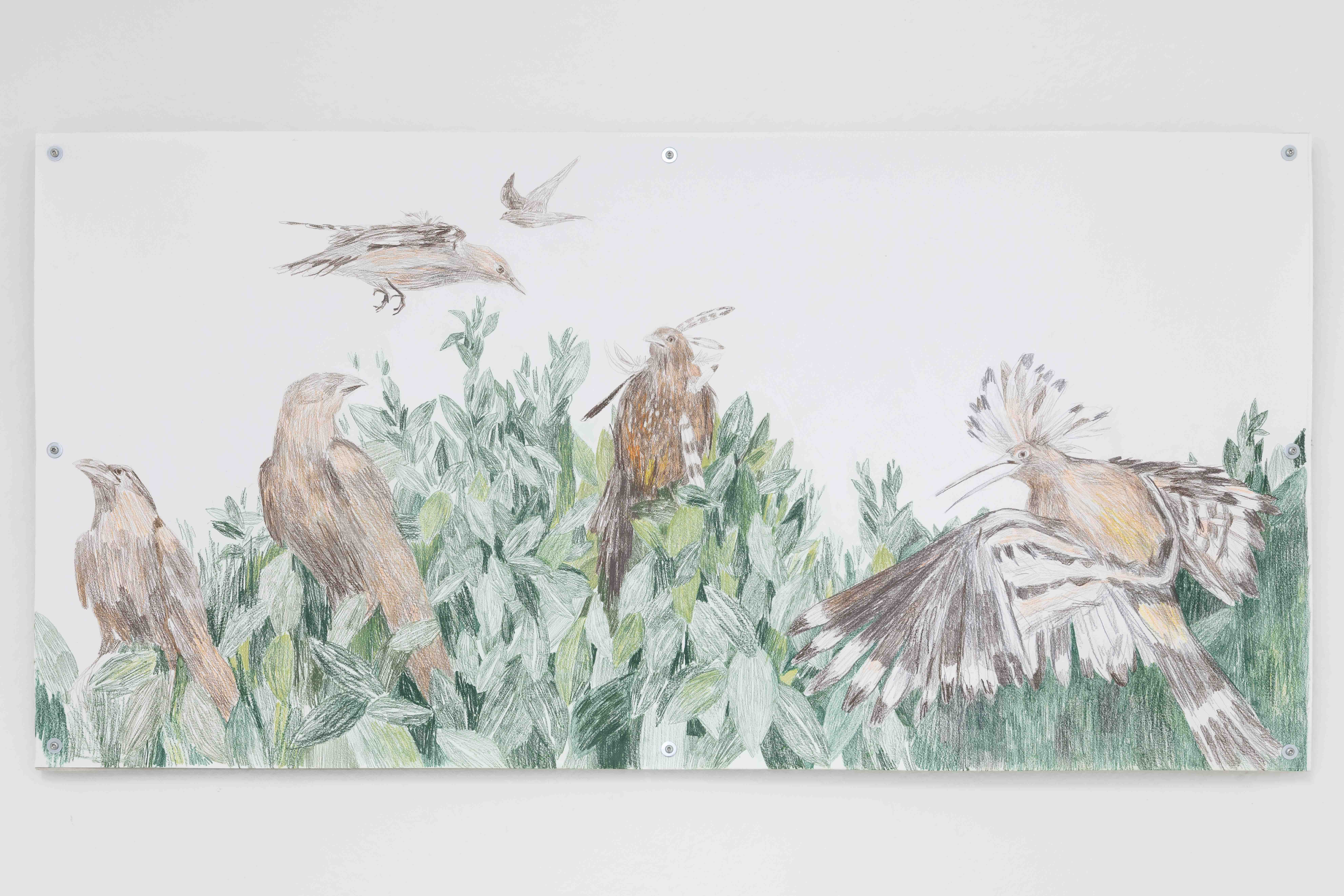 Agnese Galiotto, Of foxes and birds. Stories from the hill. (Top of the tree), 2023, Crayon on paper on drywall mount, 120cm x 60cm