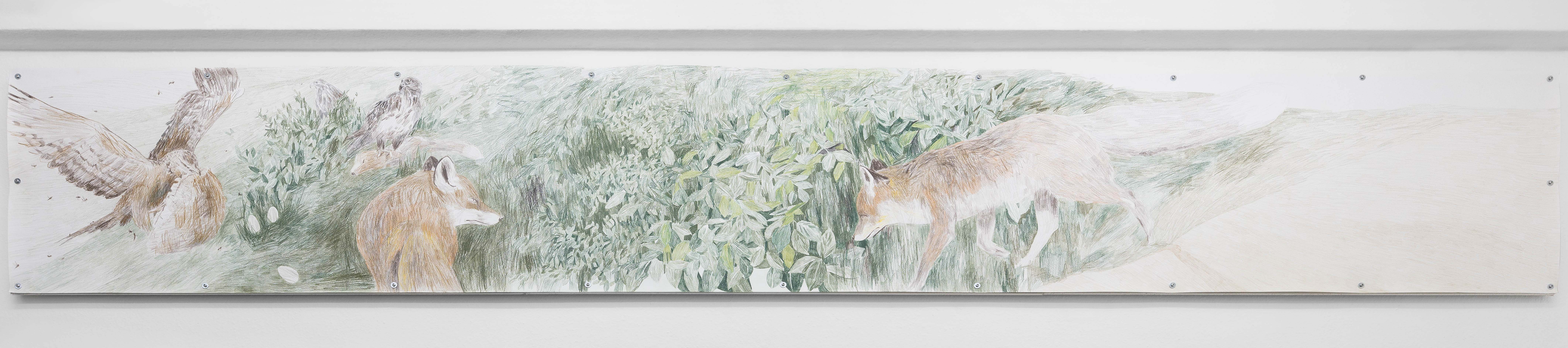 Agnese Galiotto, Of foxes and birds. Stories from the hill. (East), 2023, Crayon on paper on drywall mount, 360cm x 60cm