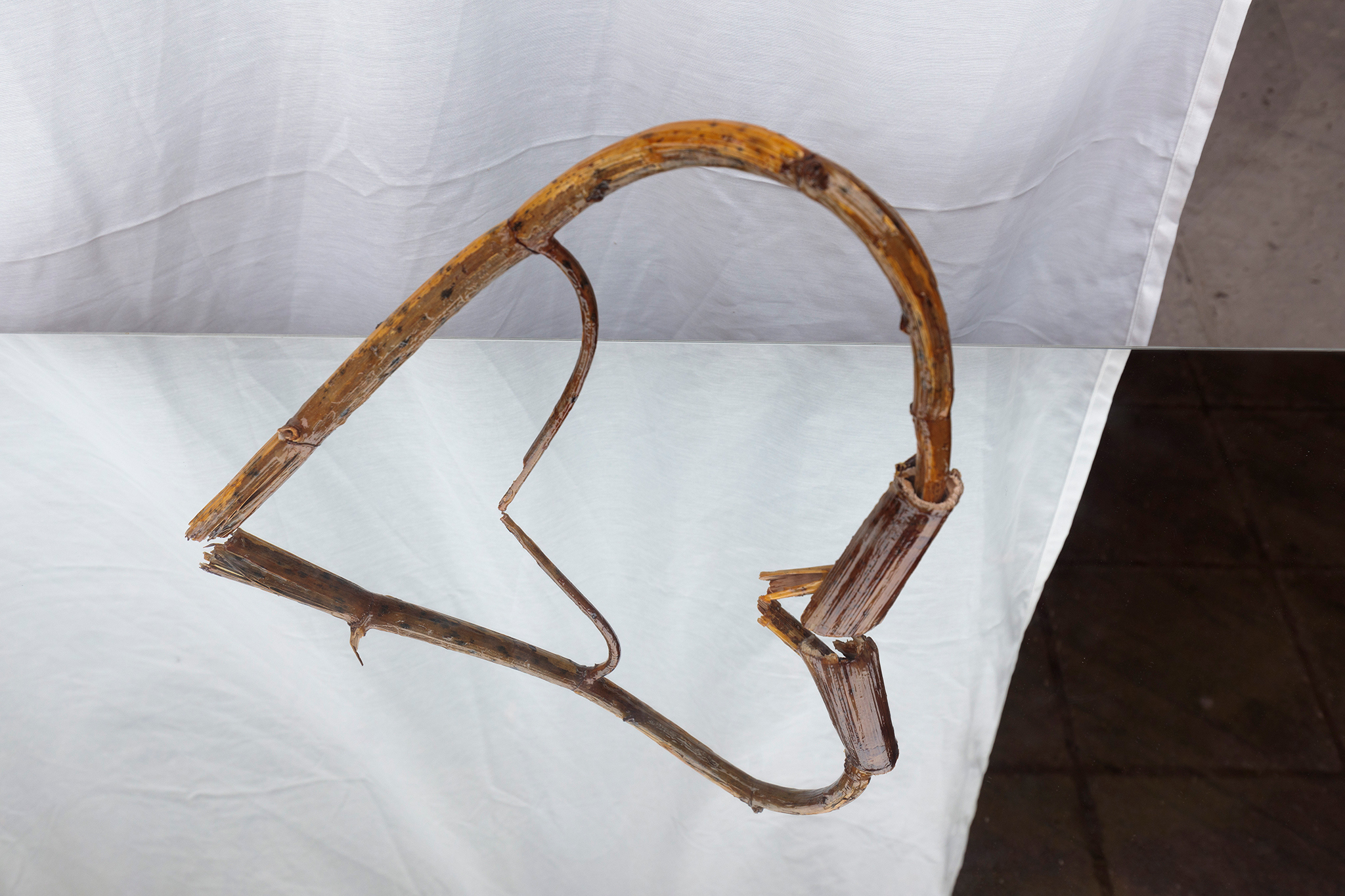 "Cut open in half. See what’s inside.", exhibition view: Galvanie Galerie, photos: Lukas Pürmayr