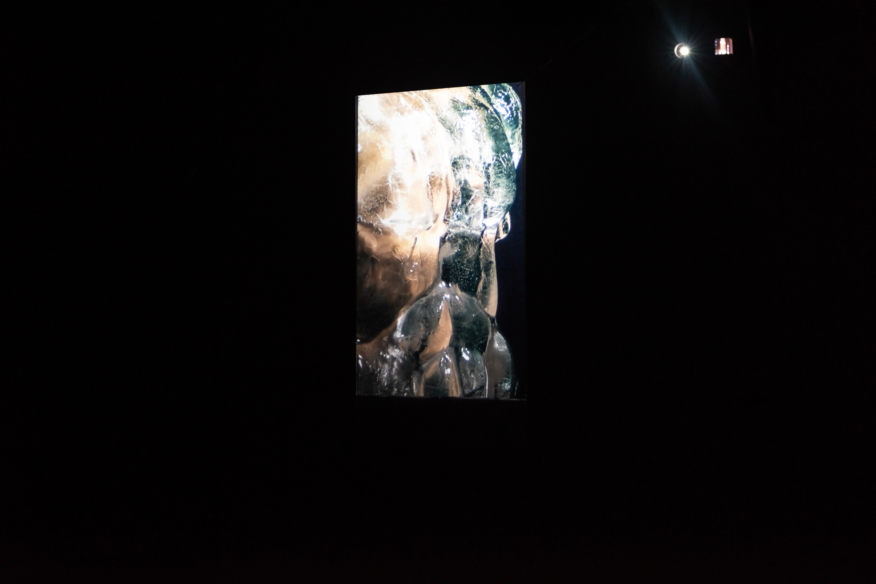 Work by Cassils ("Triesias", 2023), FLOAT, Second Floor Kunstmuseum Celle