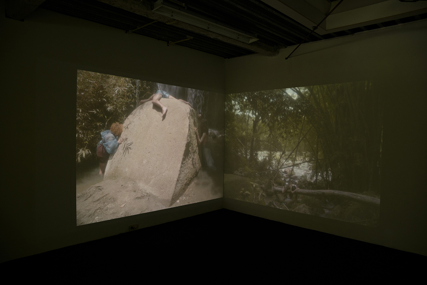 The guest, the ghost & the host