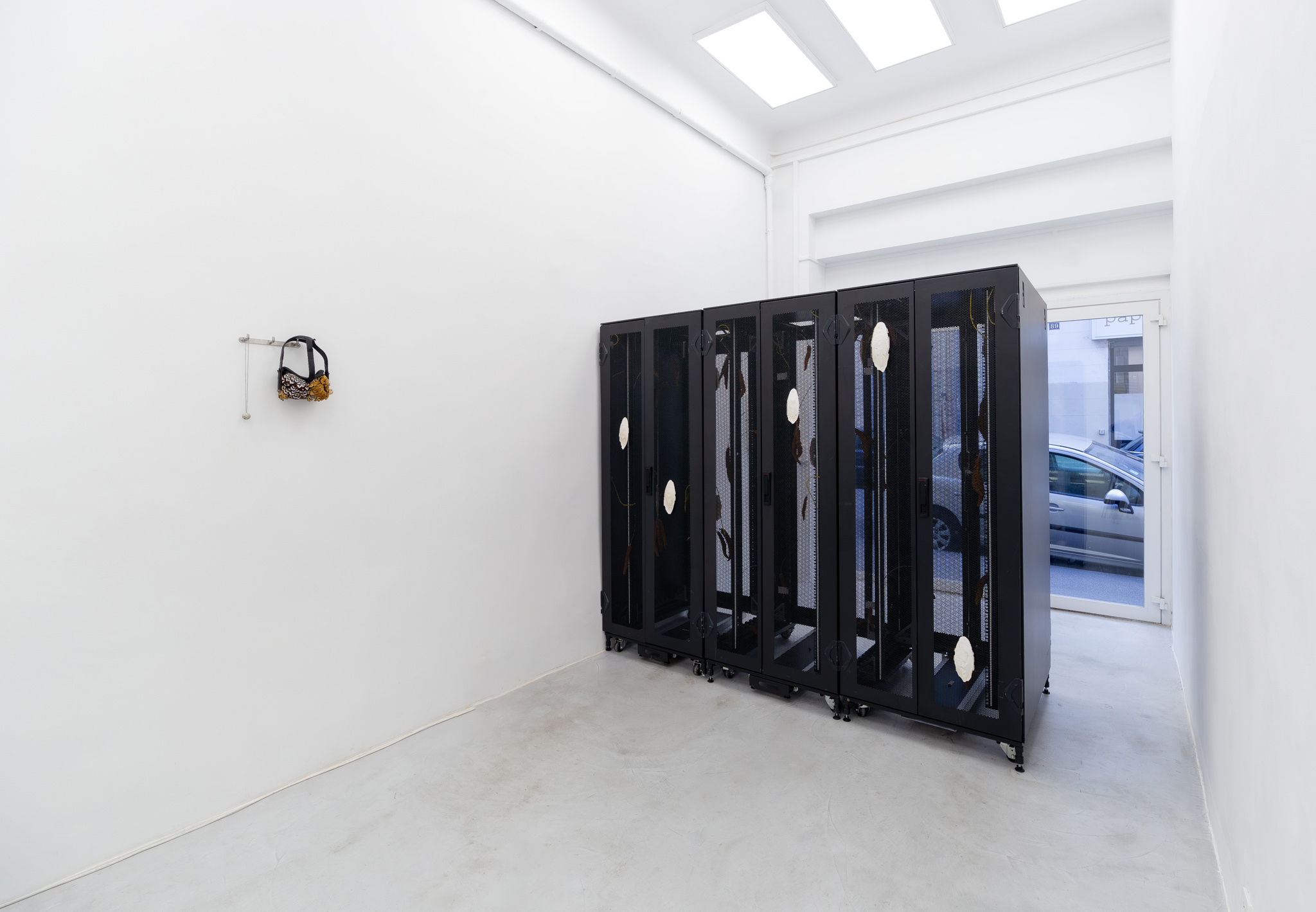 Rémi Lécussan Mimicry #5, 2023 Datacenter enclosures, millet and cuttlebone, 215 x 240 x 100 cm